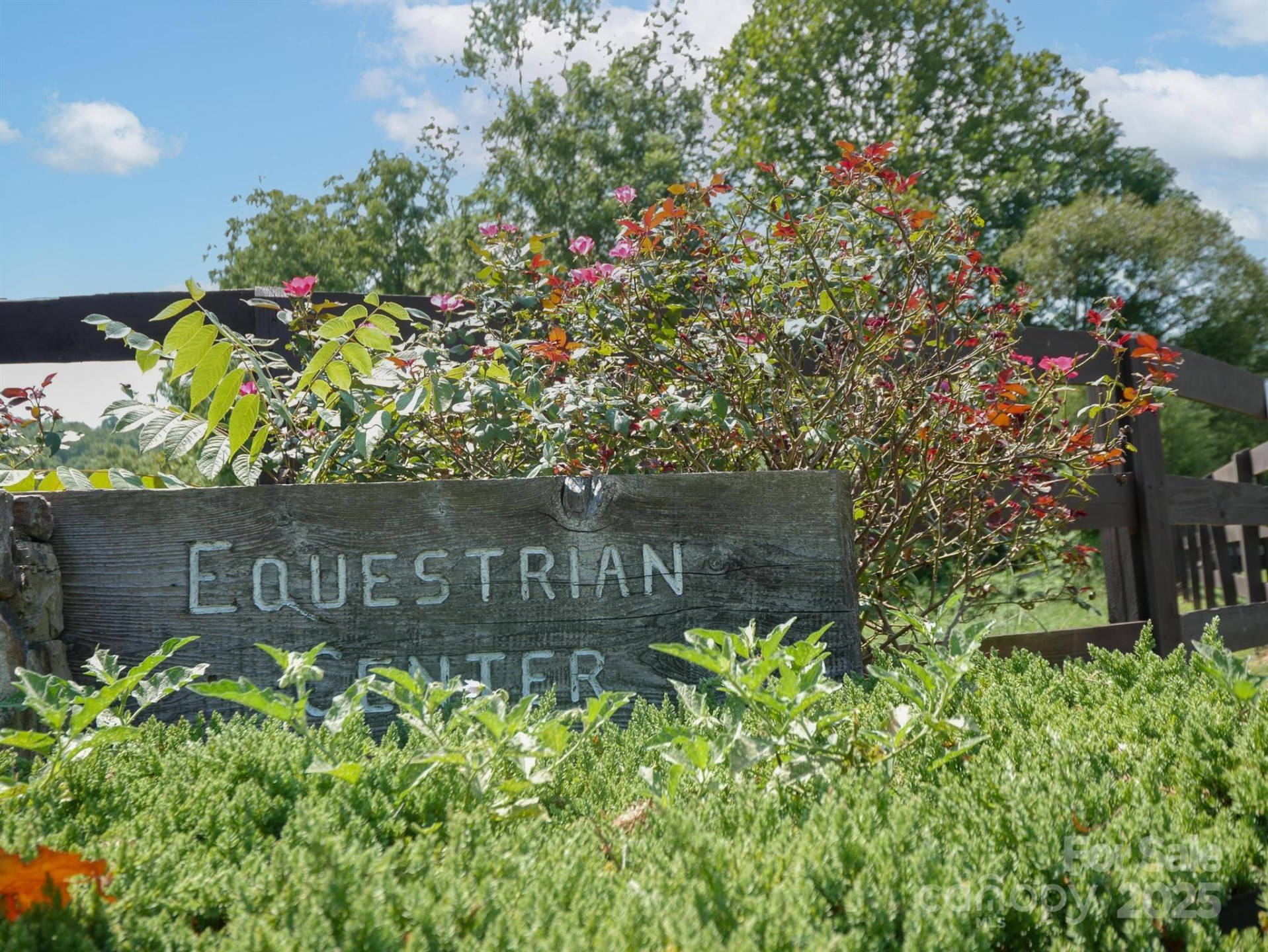 00 Deep Gap Road #59 - Photo 13