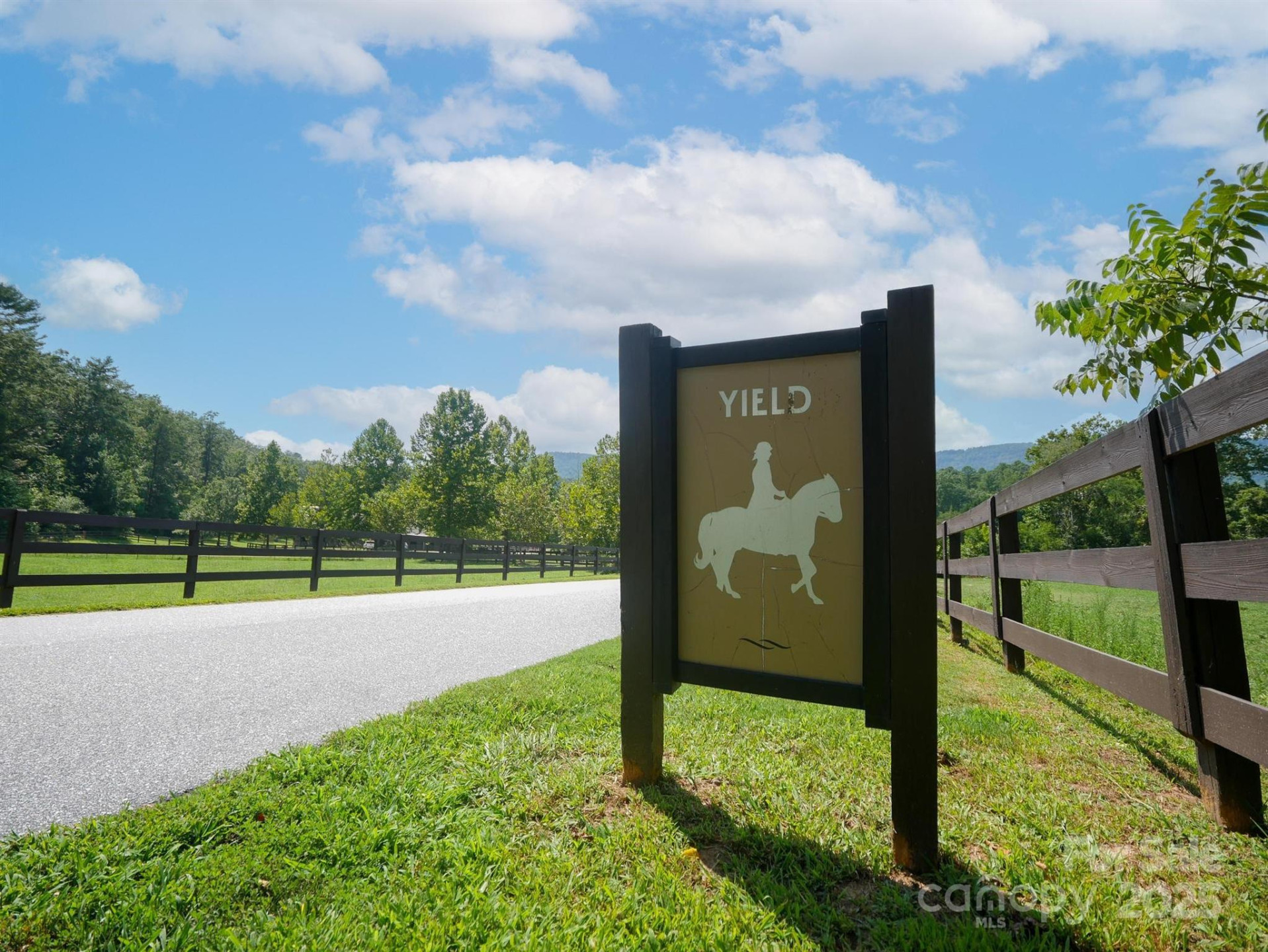 00 Deep Gap Road #59 - Photo 14