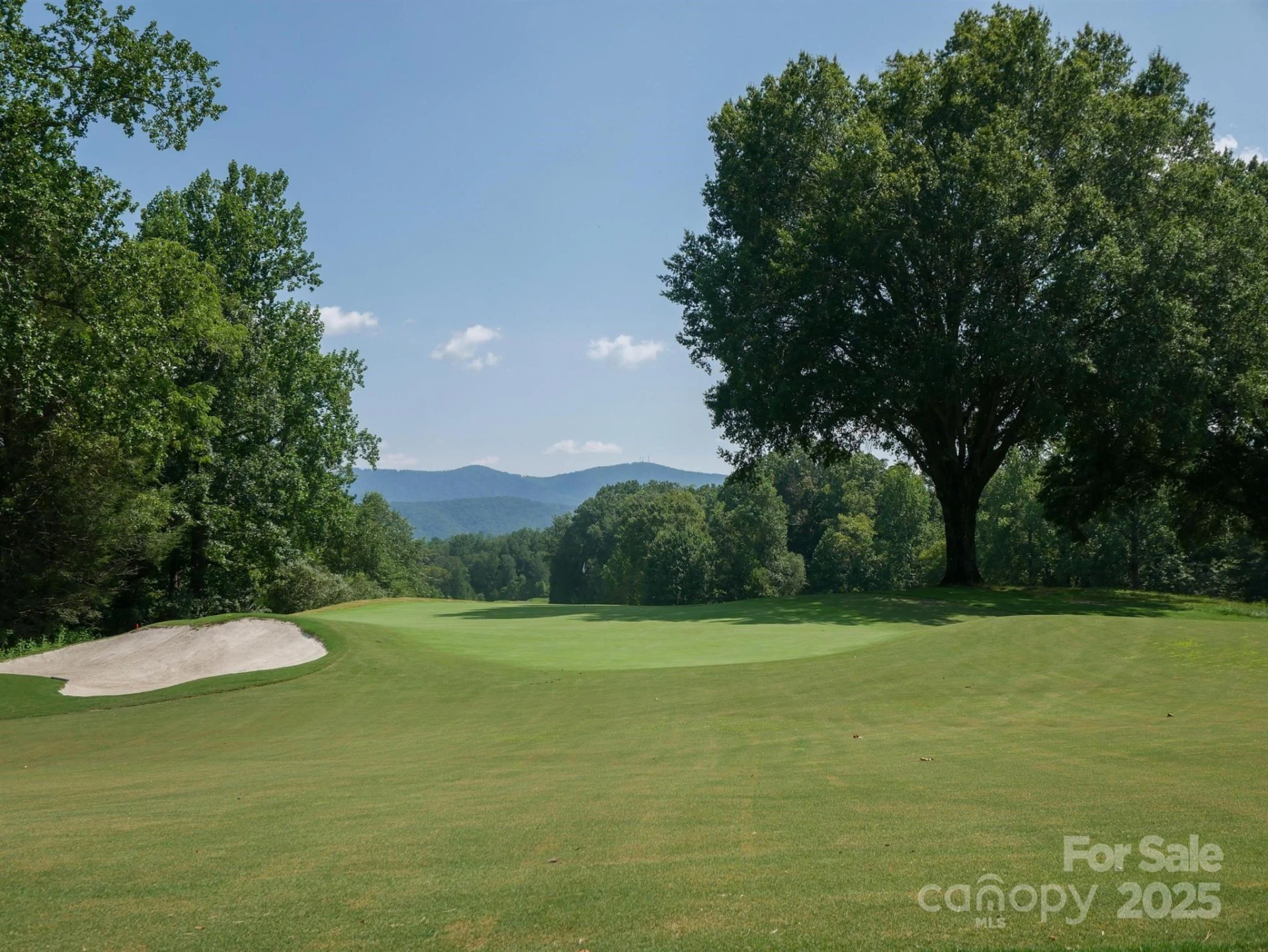 00 Deep Gap Road #59 - Photo 17