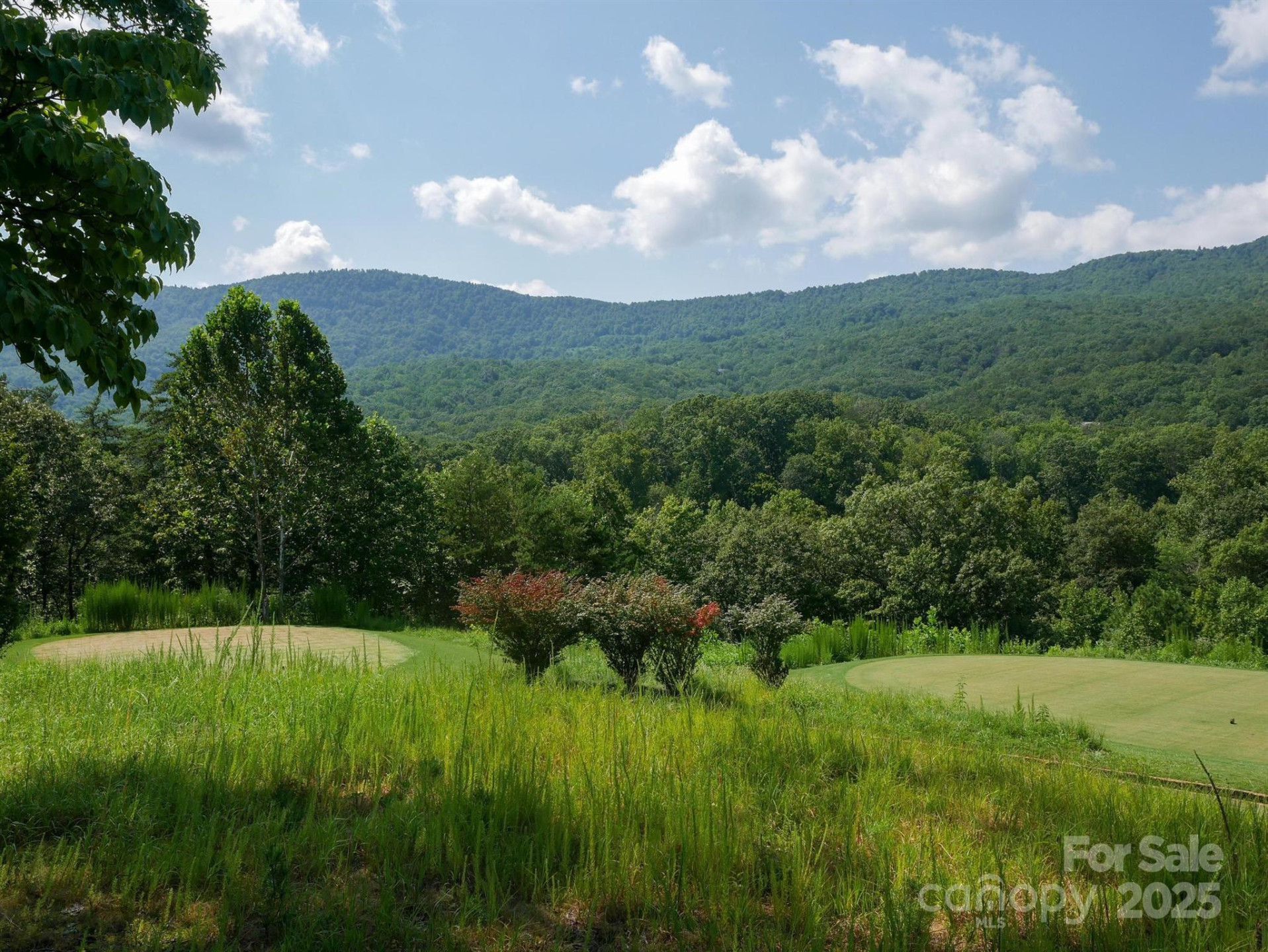 00 Deep Gap Road #59 - Photo 18