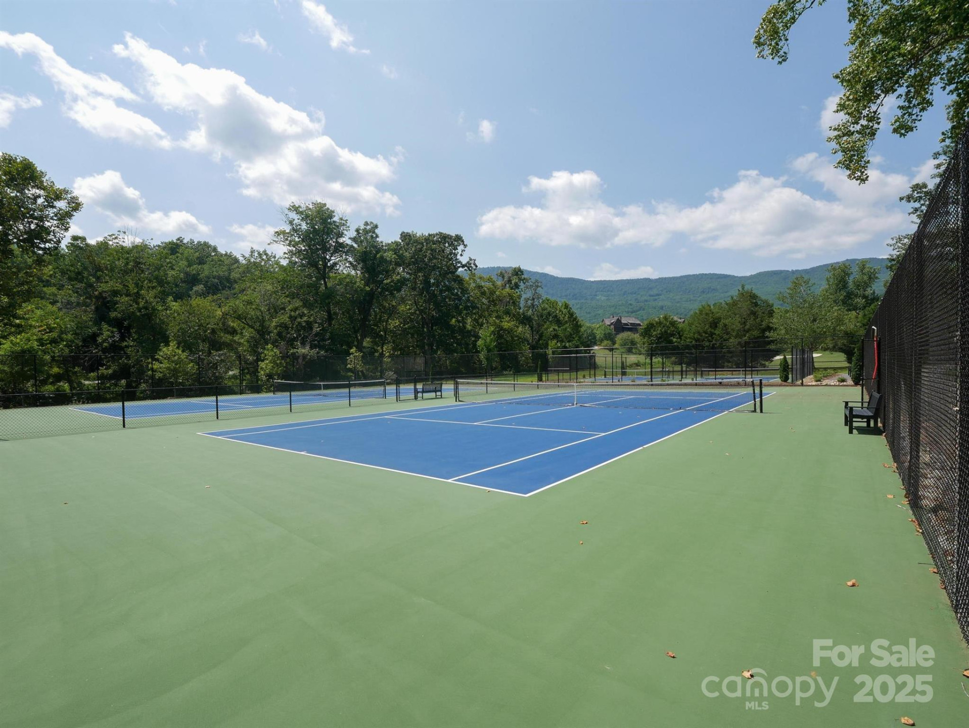 00 Deep Gap Road #59 - Photo 20