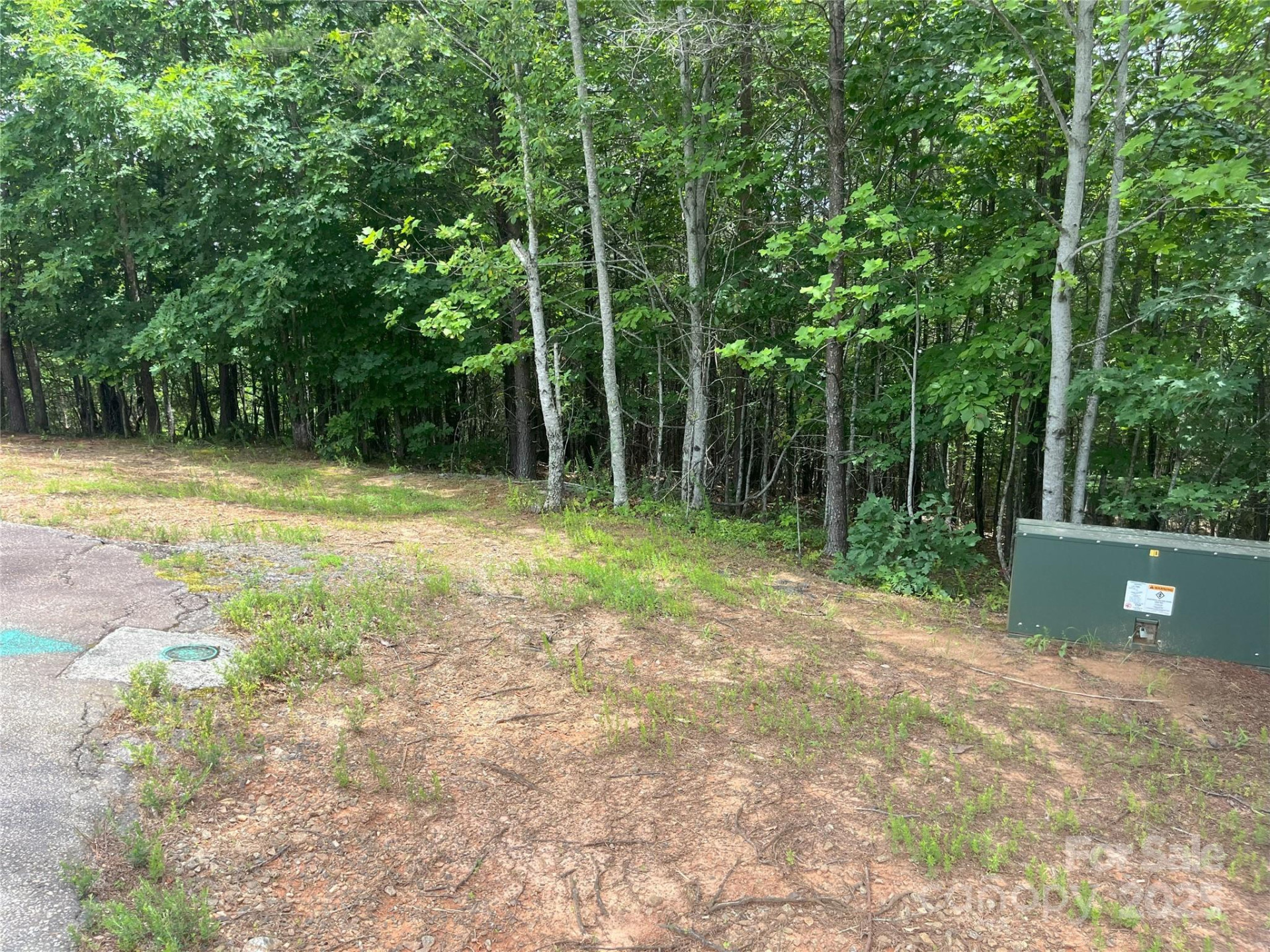 00 Deep Gap Road #59 - Photo 3