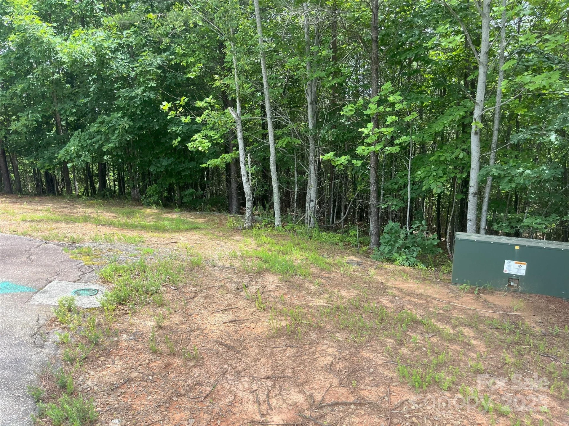 00 Deep Gap Road #59 - Photo 3