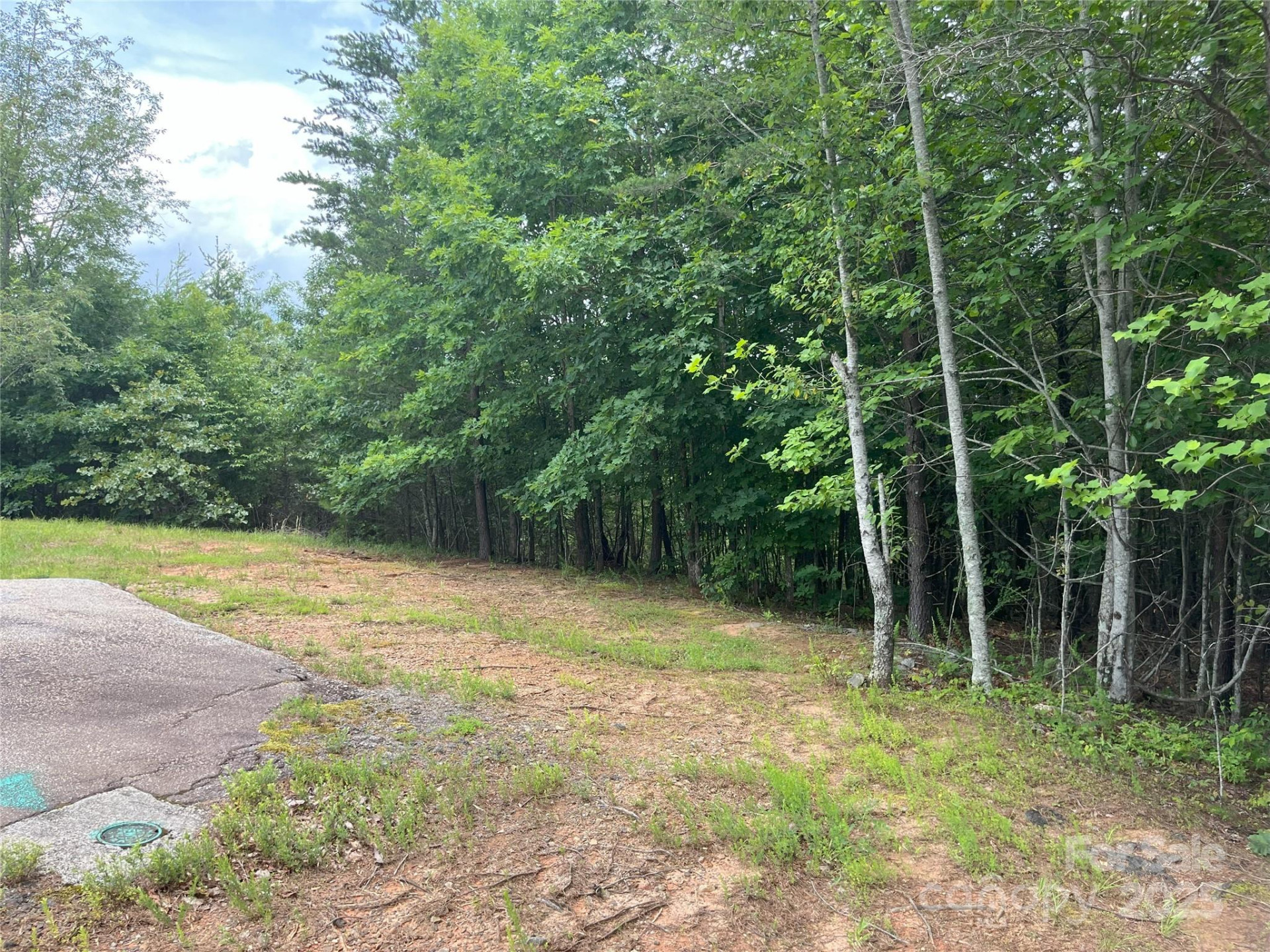 00 Deep Gap Road #59 - Photo 4