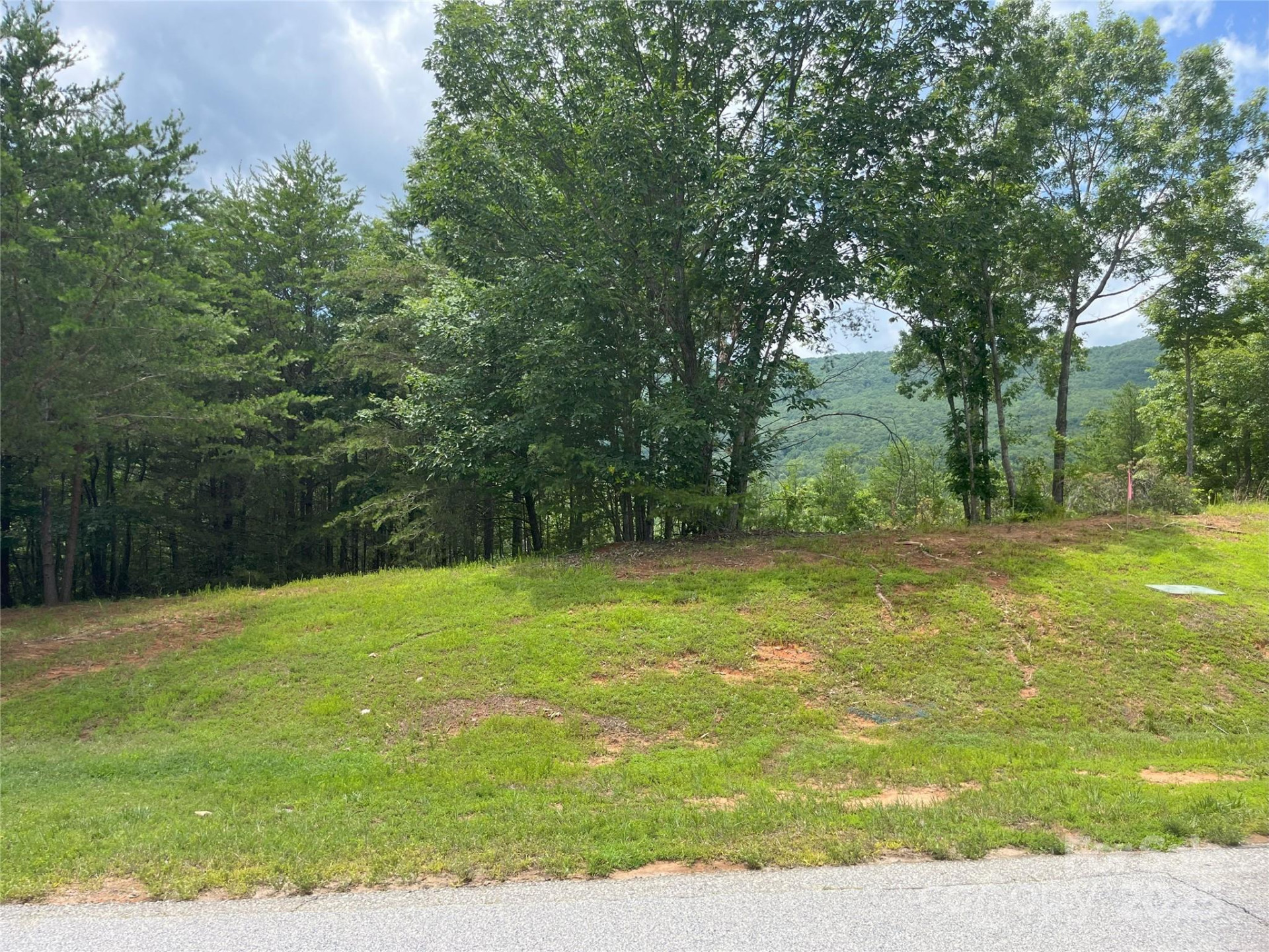 00 Deep Gap Road #59 - Photo 6