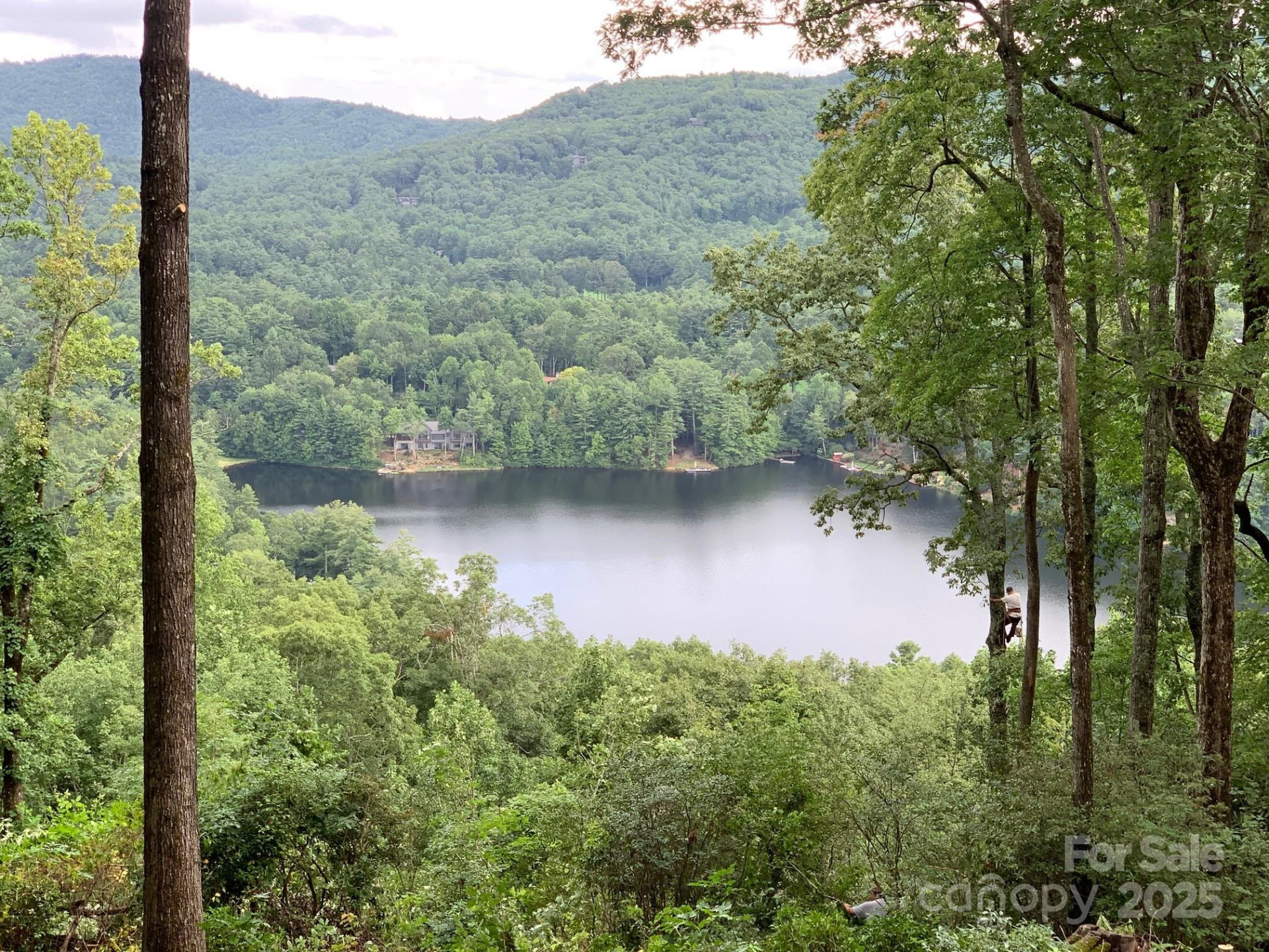 PR 22R Panther Ridge Road - Photo 2