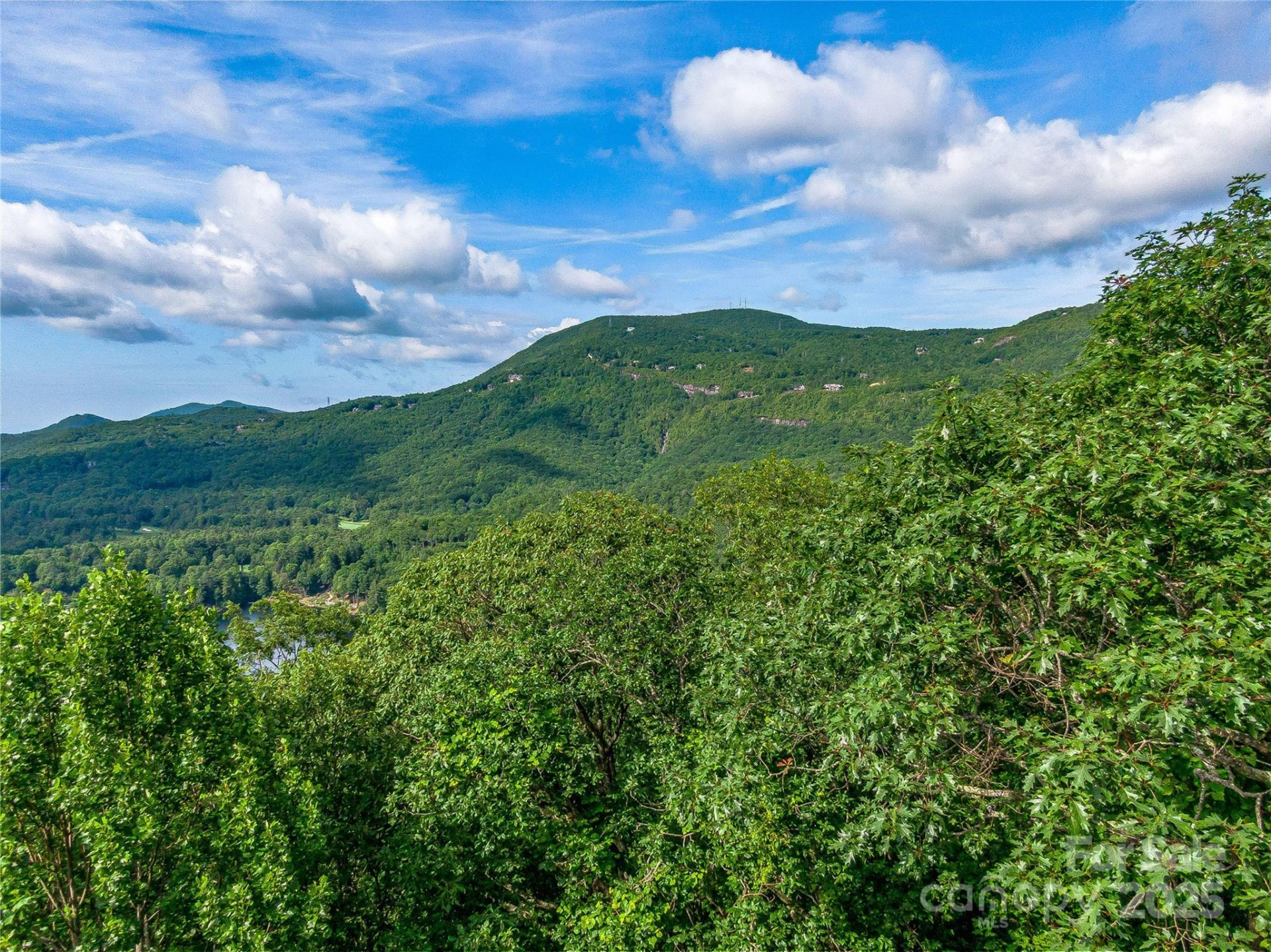 PR 22R Panther Ridge Road - Photo 11