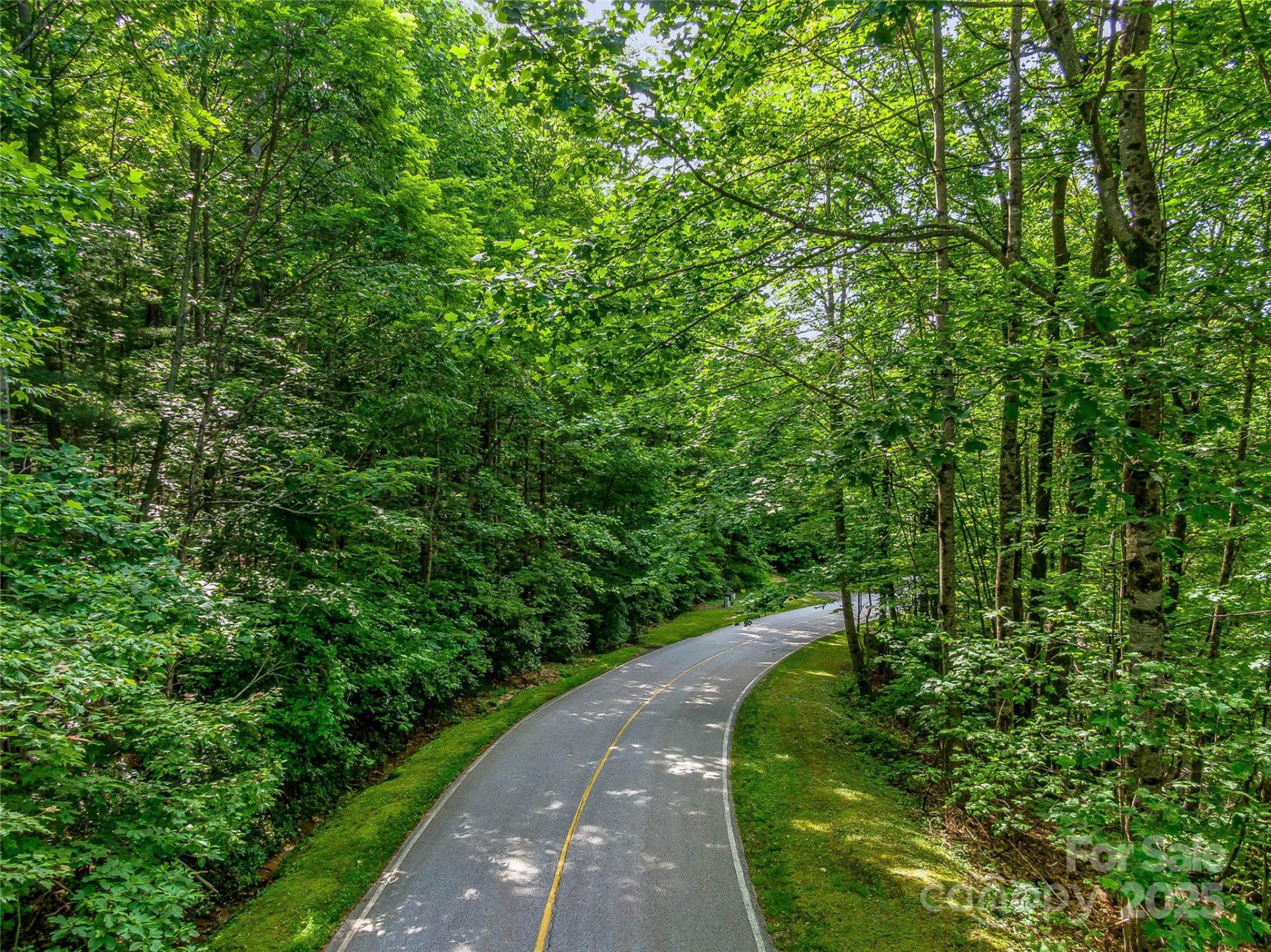 PR 22R Panther Ridge Road - Photo 17