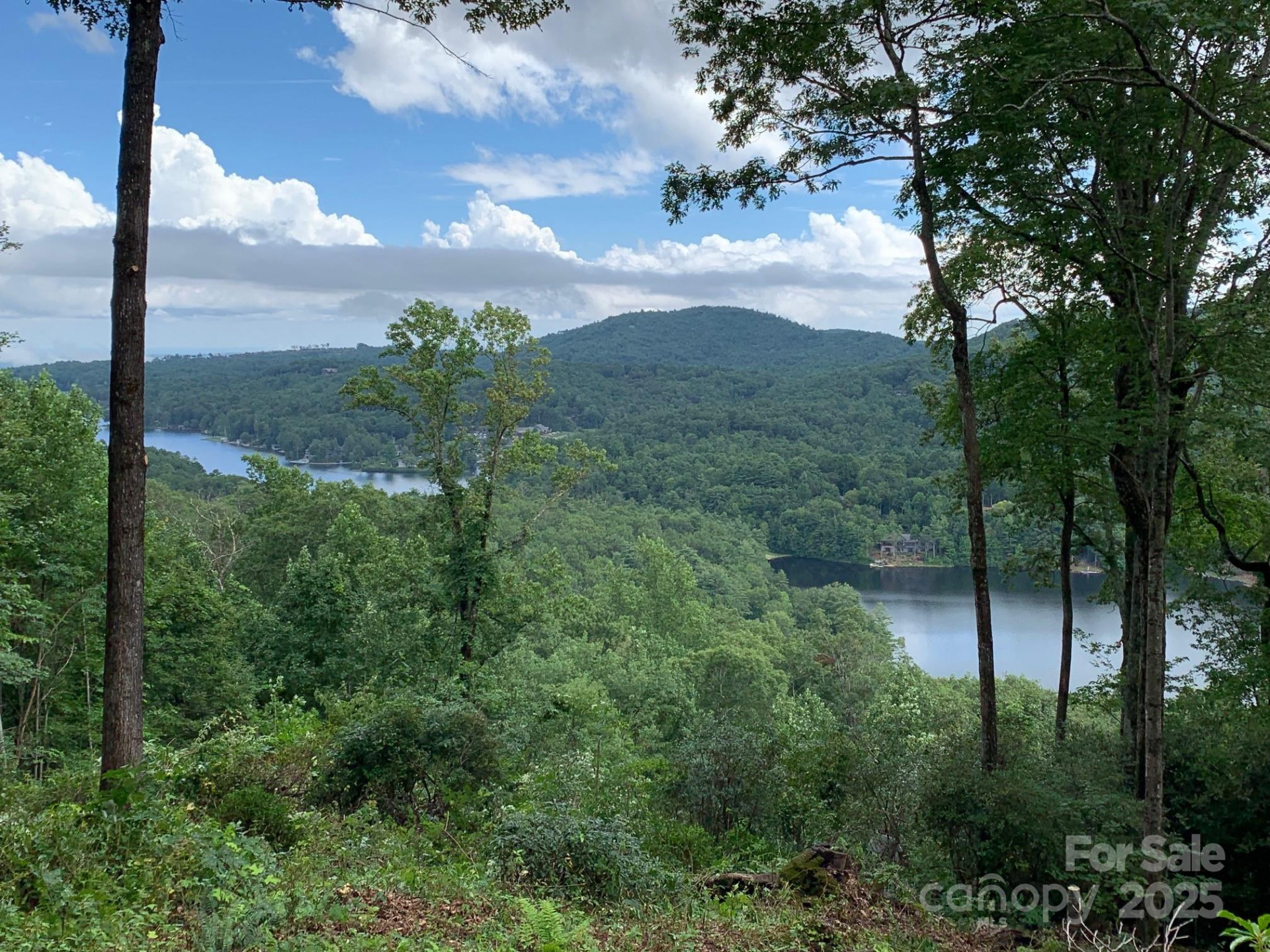 PR 22R Panther Ridge Road - Photo 3