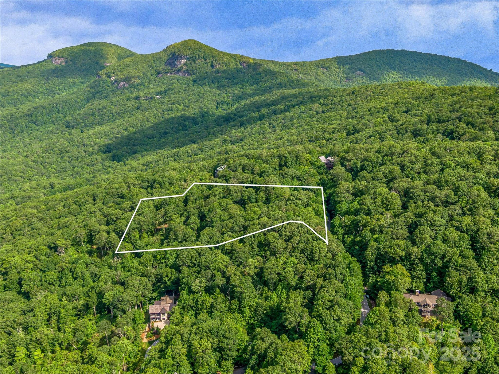 PR 22R Panther Ridge Road - Photo 6
