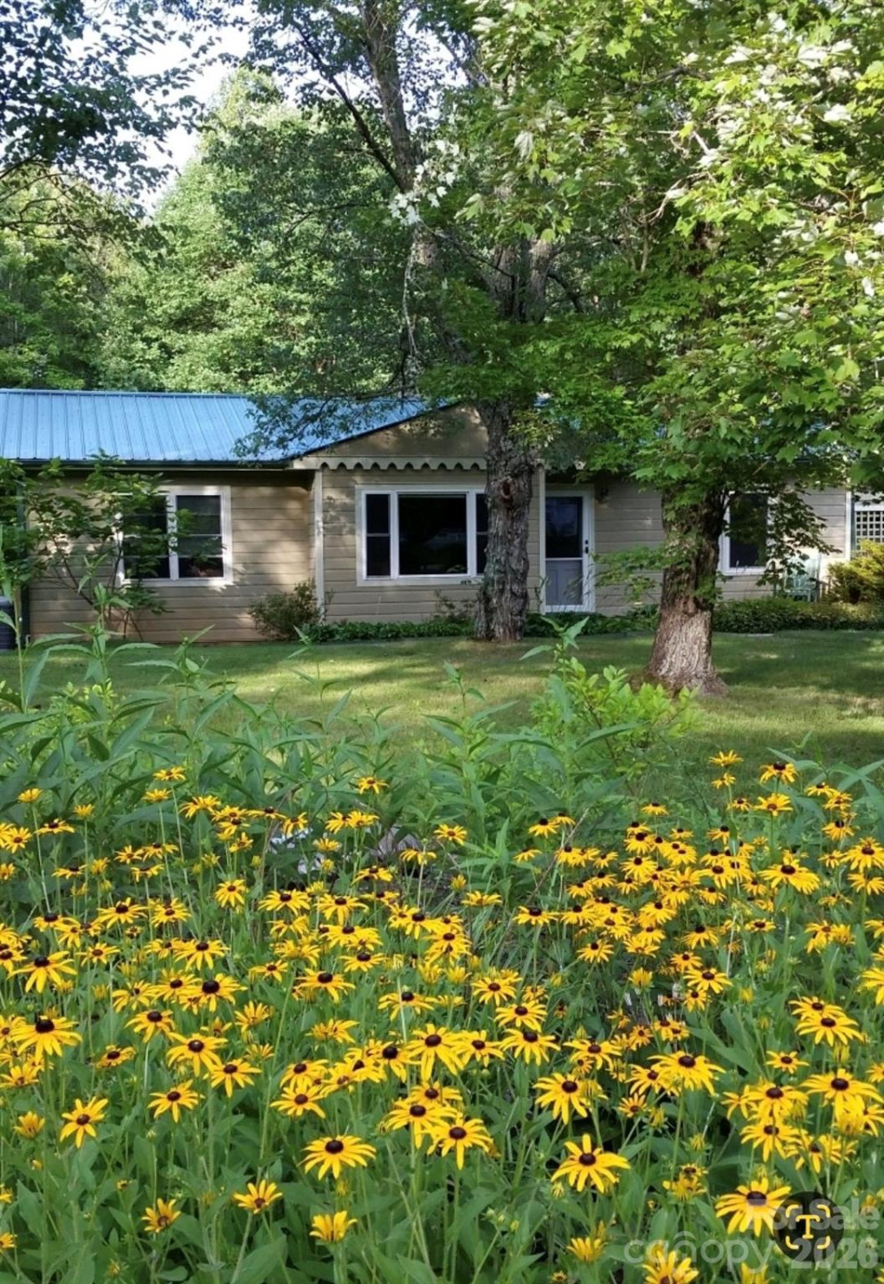 75 Cisco Road - Photo 12