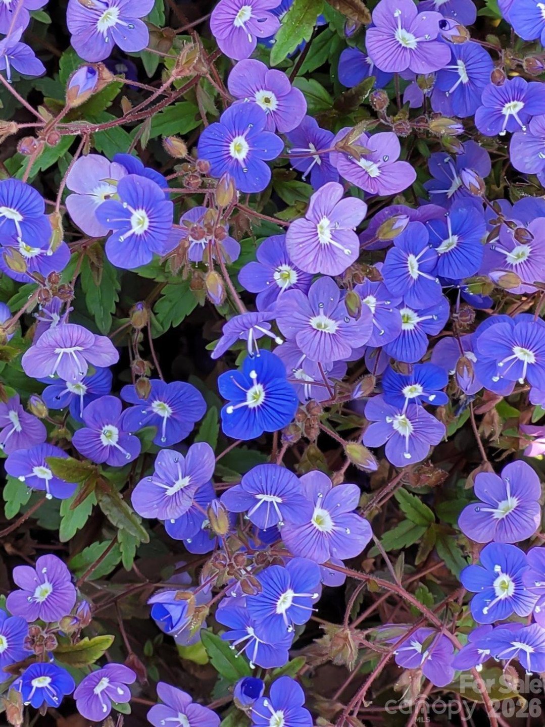 75 Cisco Road - Photo 46