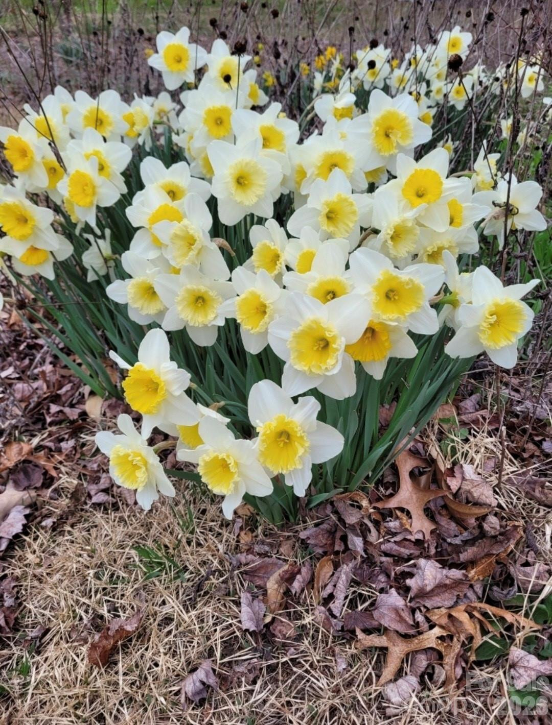 75 Cisco Road - Photo 47