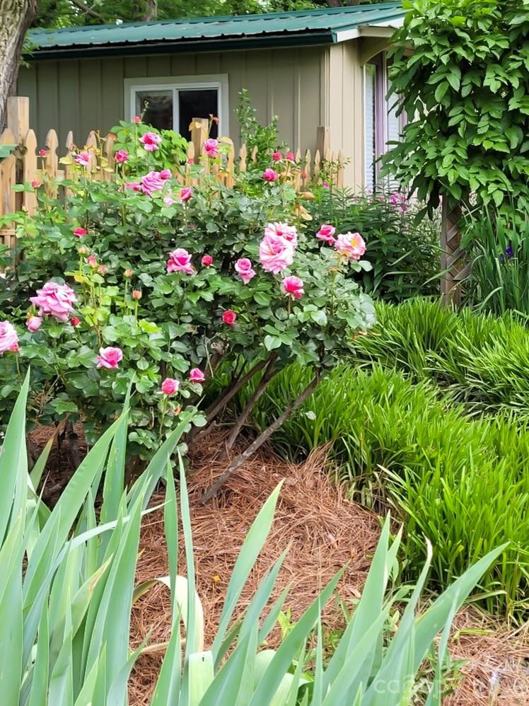 75 Cisco Road - Photo 9