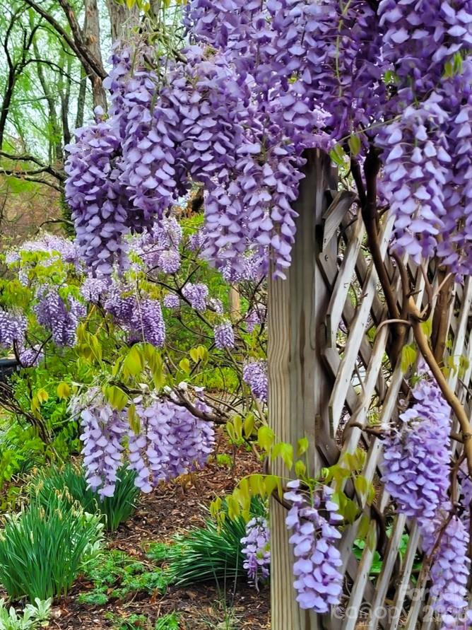 75 Cisco Road - Photo 10