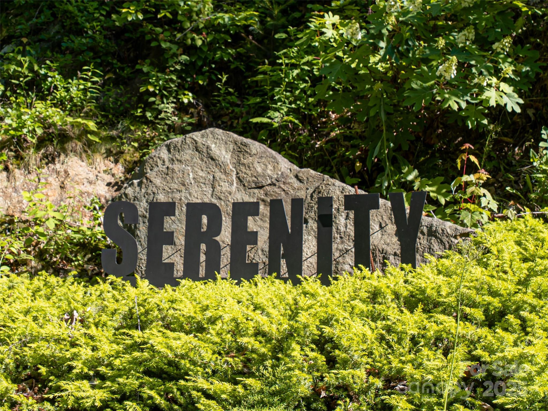 151 Serenity Ridge Trail - Photo 15