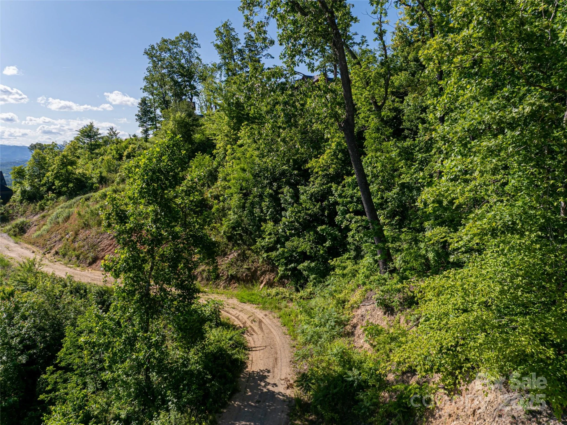 151 Serenity Ridge Trail - Photo 5