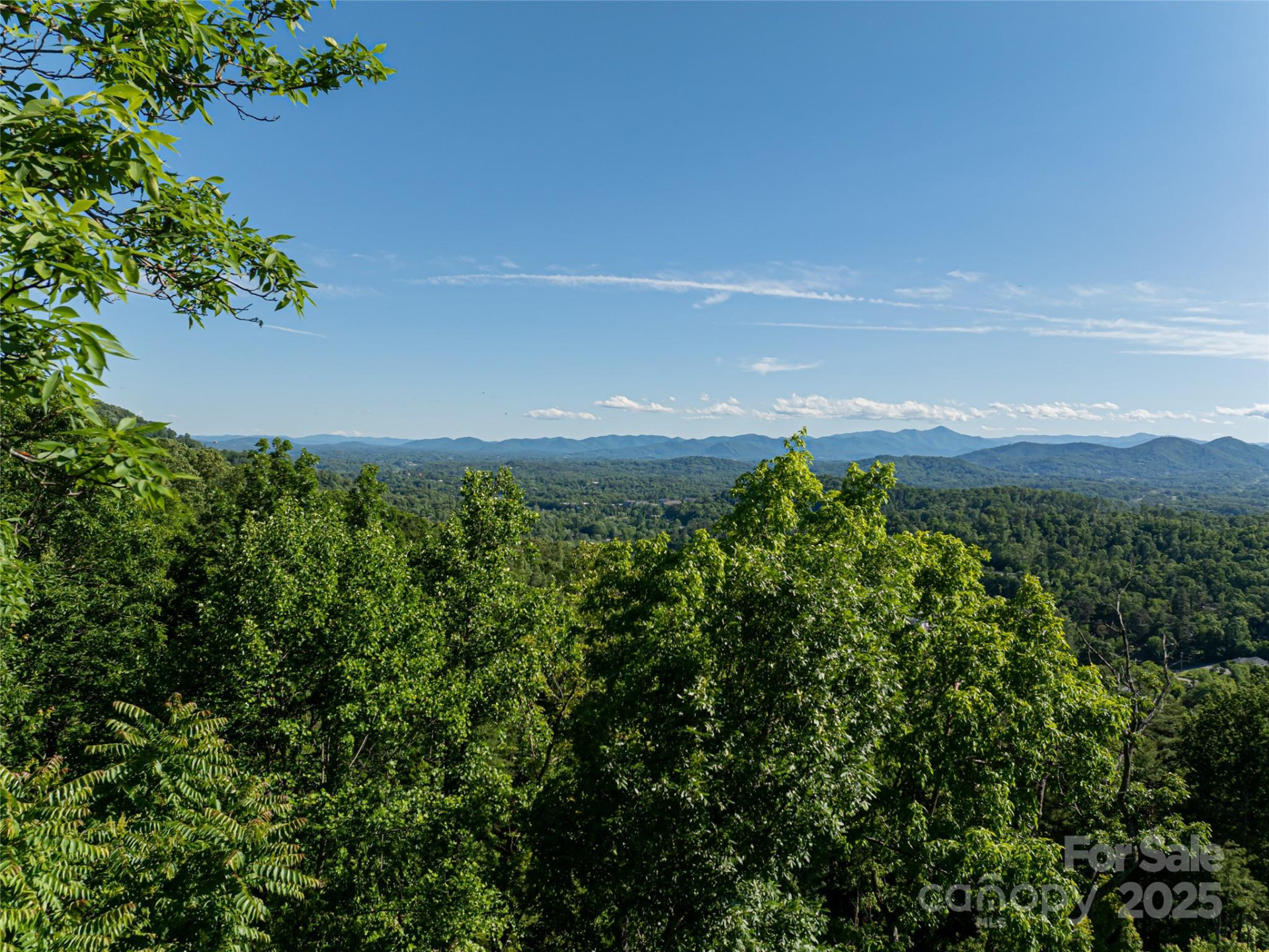 151 Serenity Ridge Trail - Photo 6