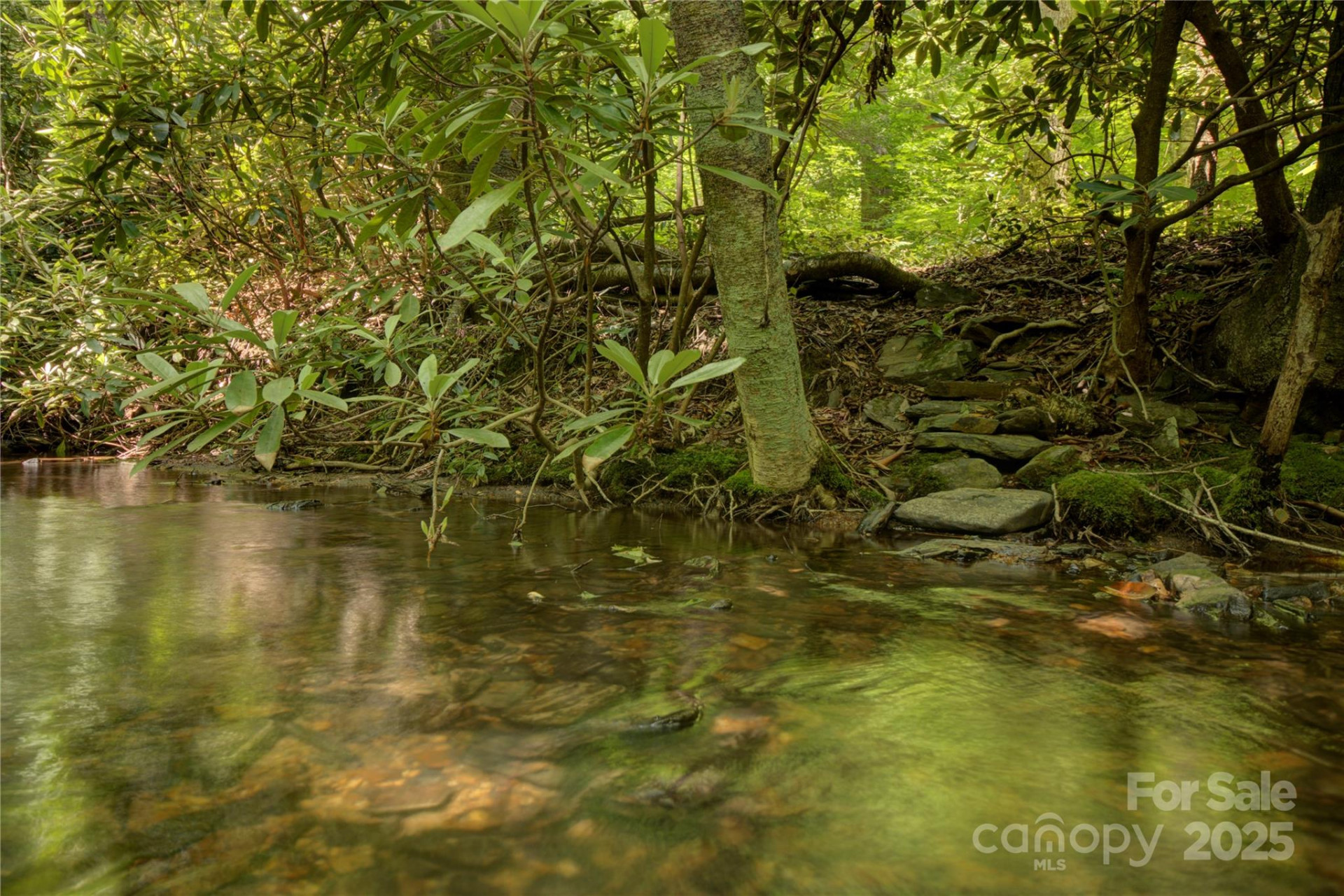 000 Golden Trout Drive #48&49 - Photo 11