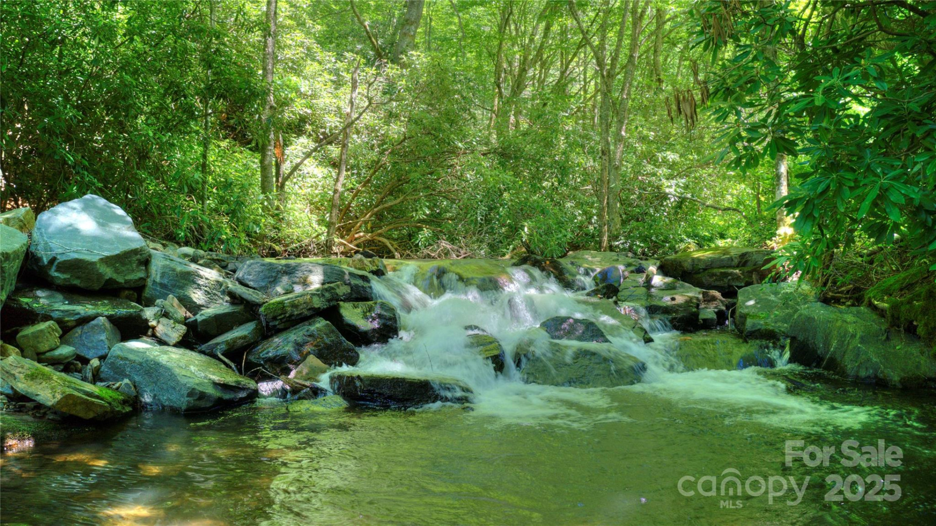 000 Golden Trout Drive #48&49 - Photo 6