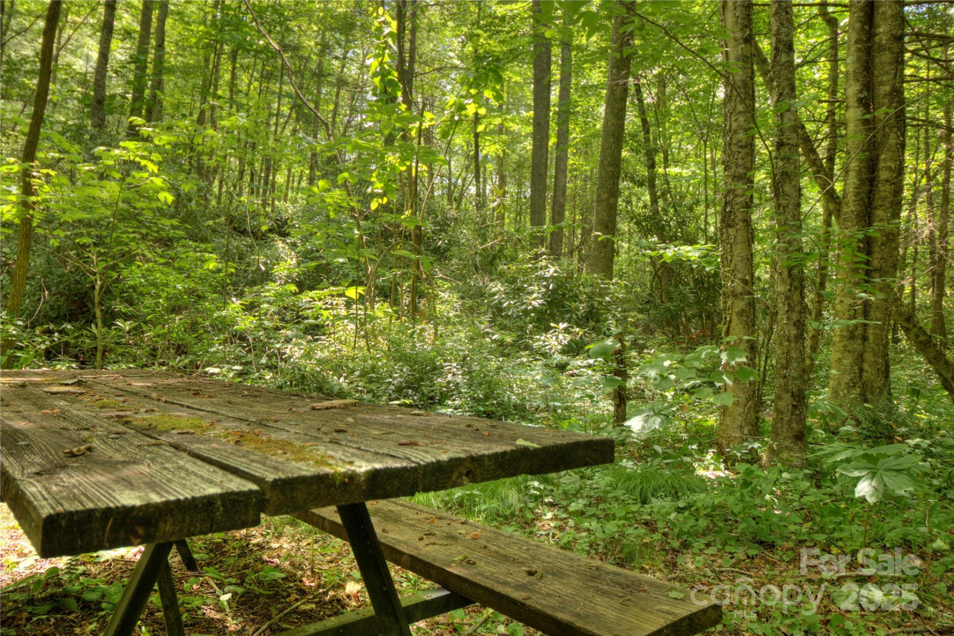 000 Golden Trout Drive #48&49 - Photo 8