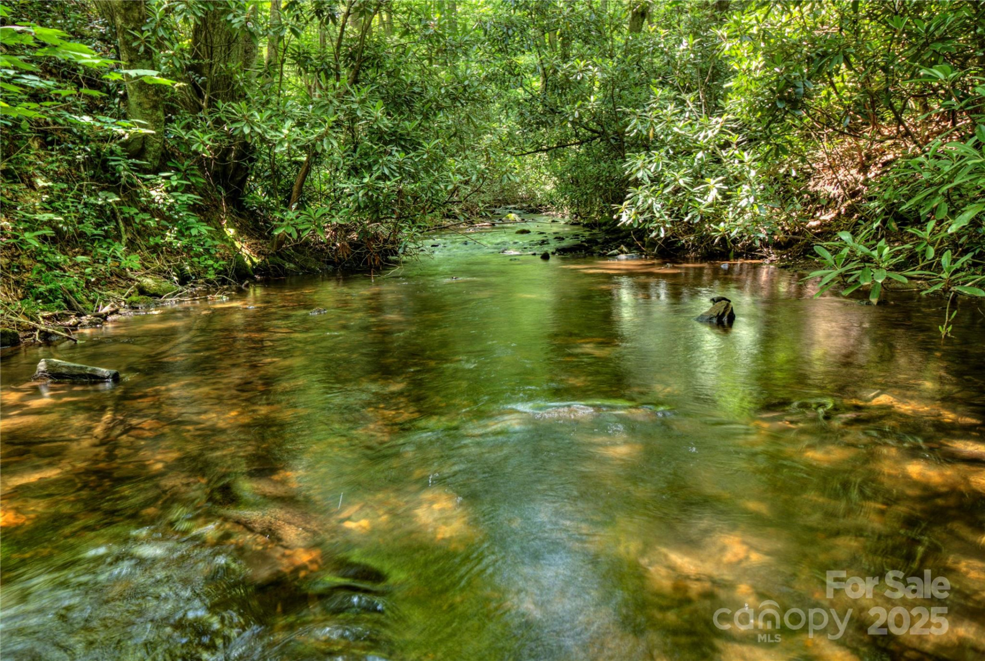 000 Golden Trout Drive #48&49 - Photo 9