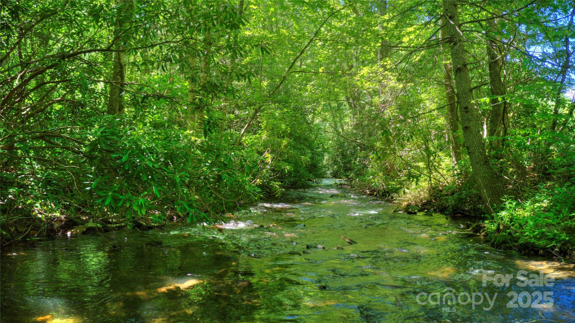 000 Golden Trout Drive #48&49 - Photo 10