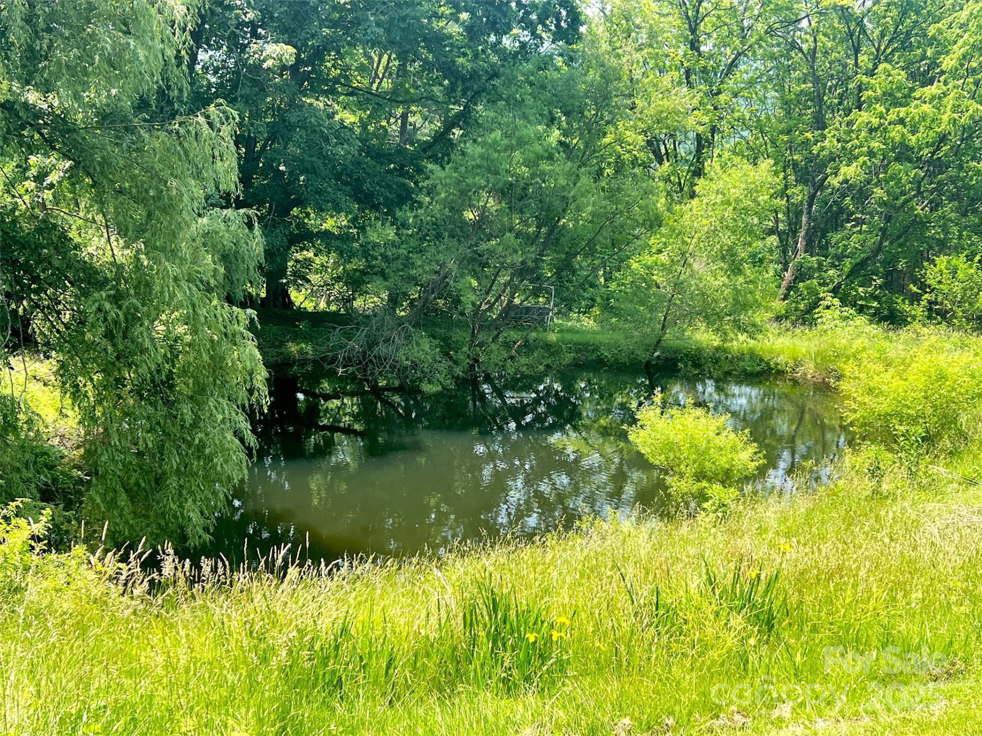 1592 Piney Hill Road - Photo 13