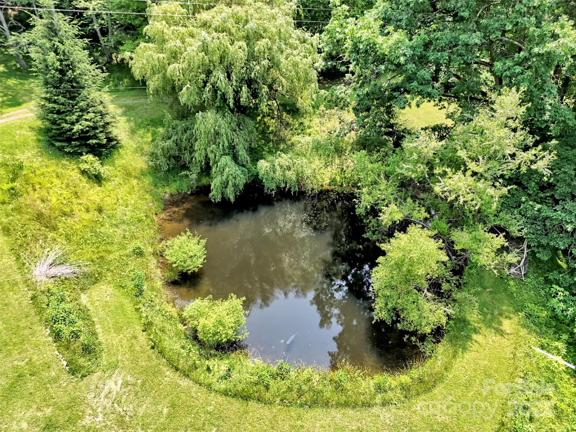 1592 Piney Hill Road - Photo 14