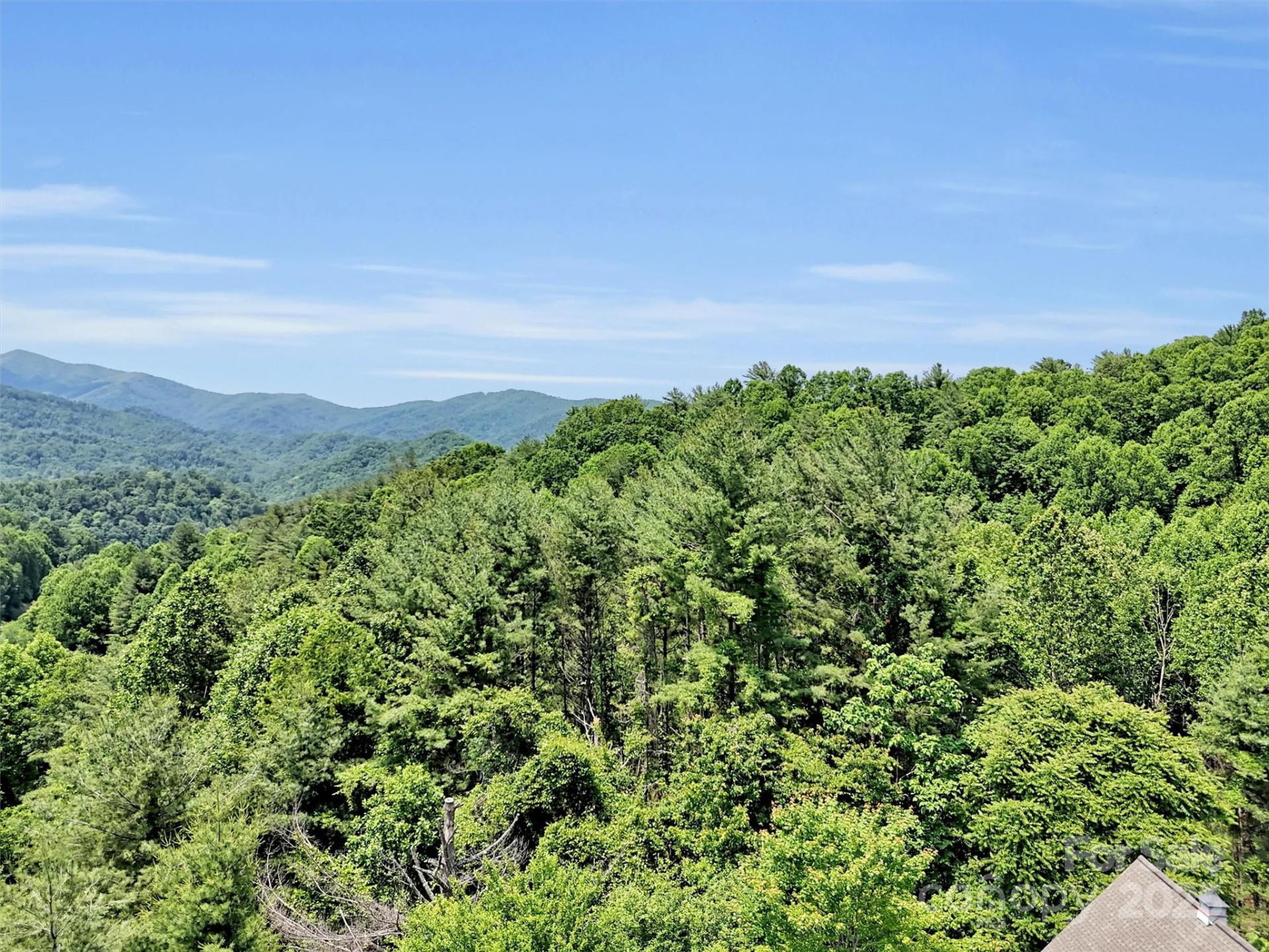 1592 Piney Hill Road - Photo 4