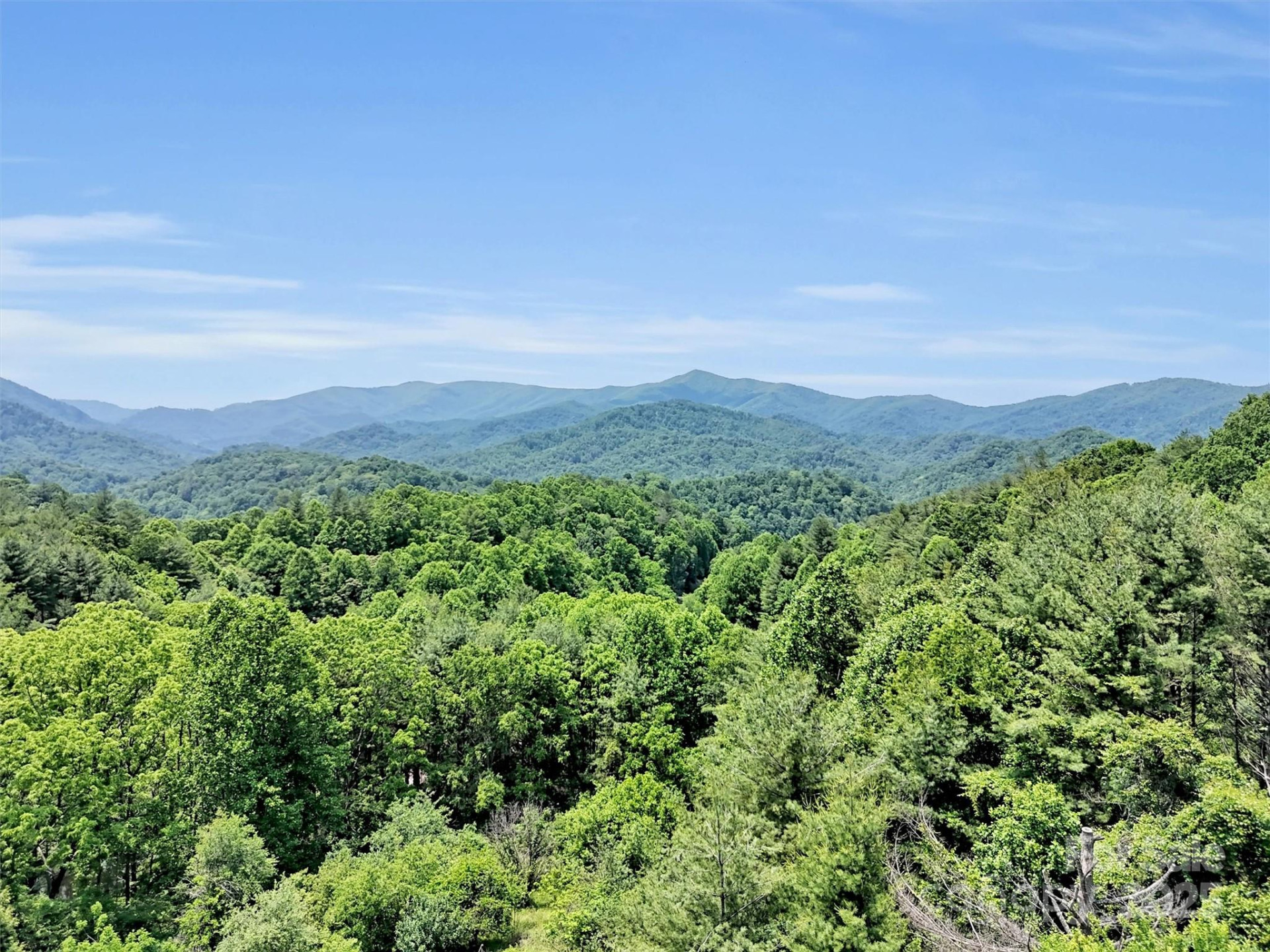 1592 Piney Hill Road - Photo 5