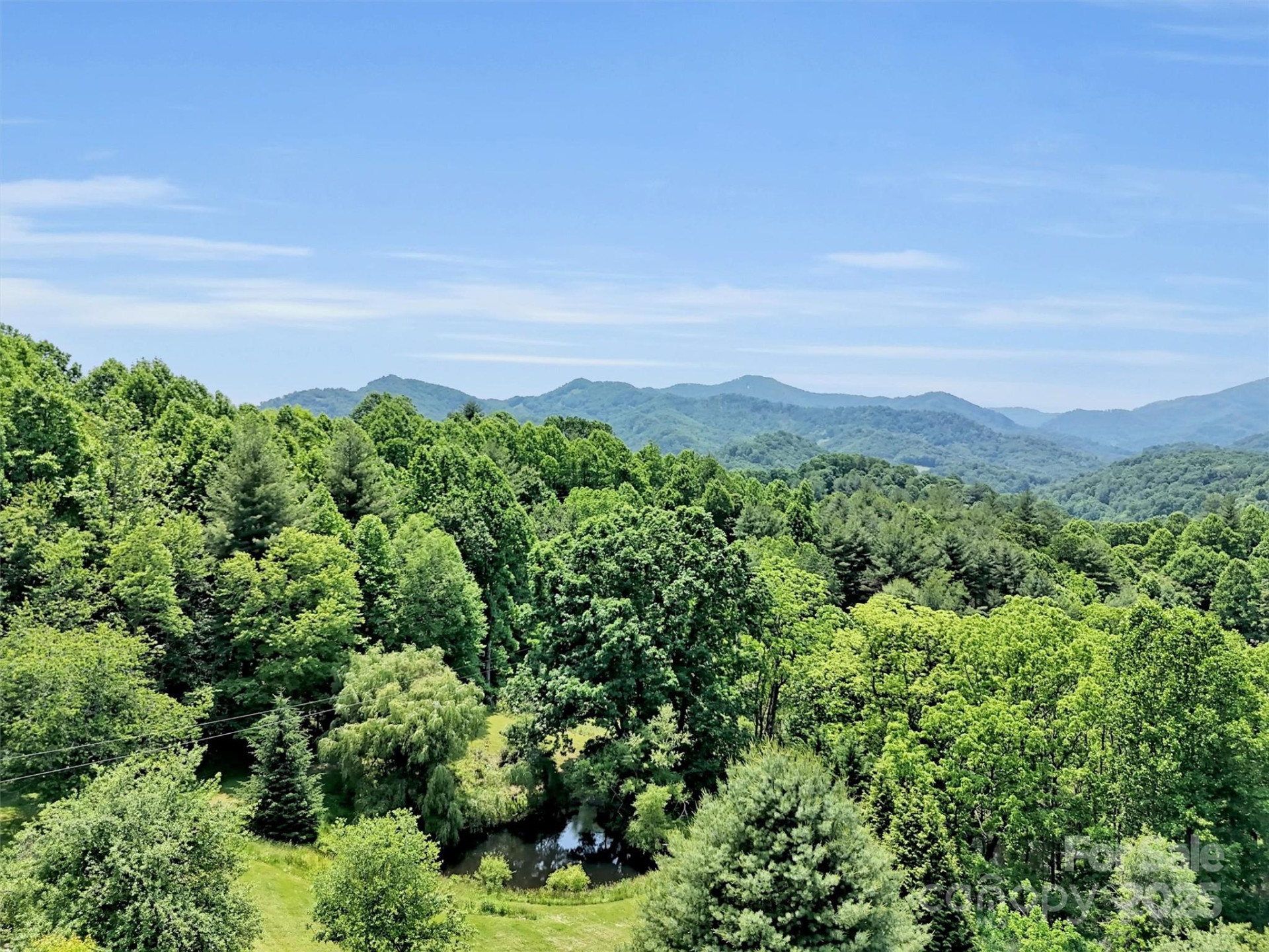 1592 Piney Hill Road - Photo 6