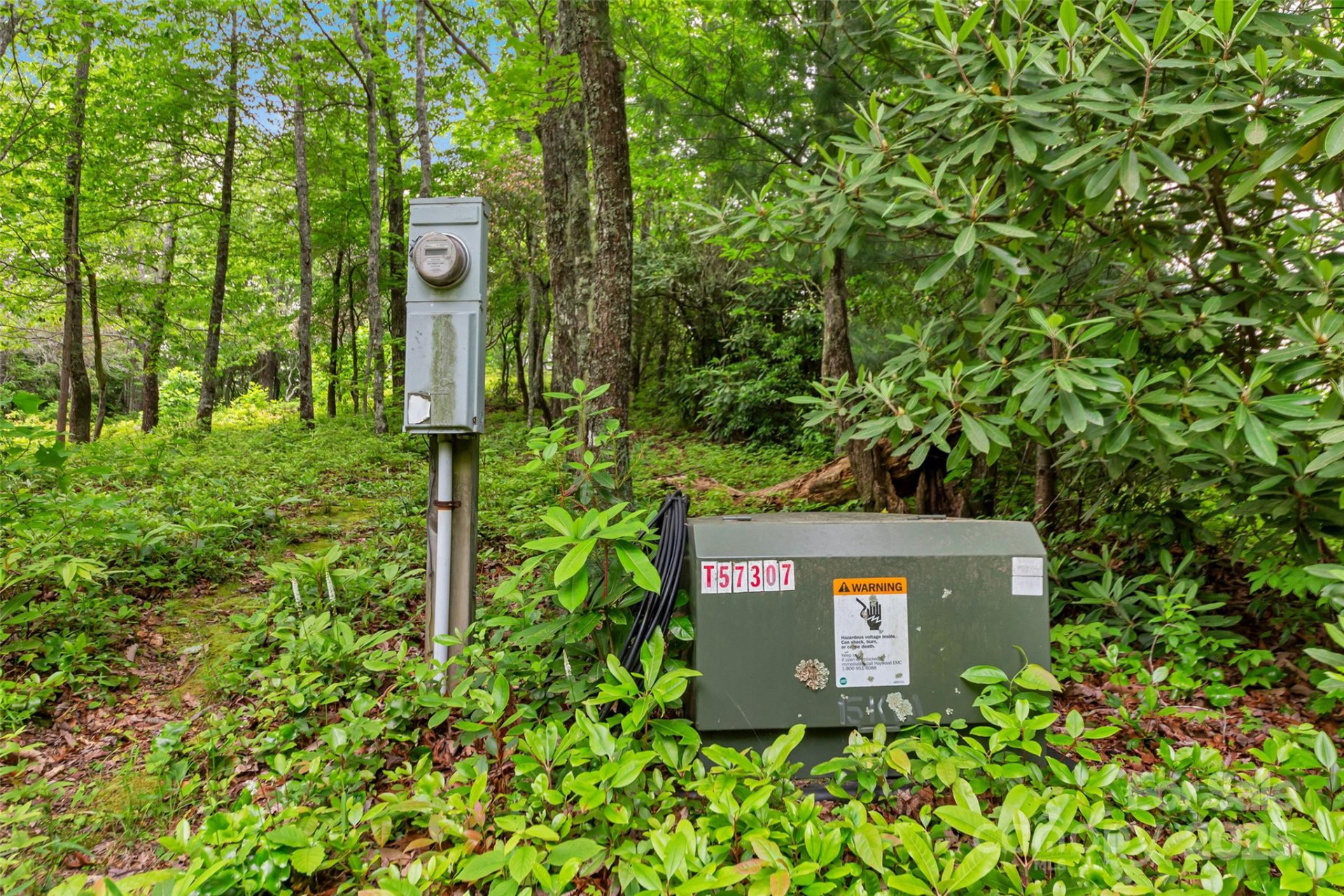 000 Squirrel Run Road - Photo 2