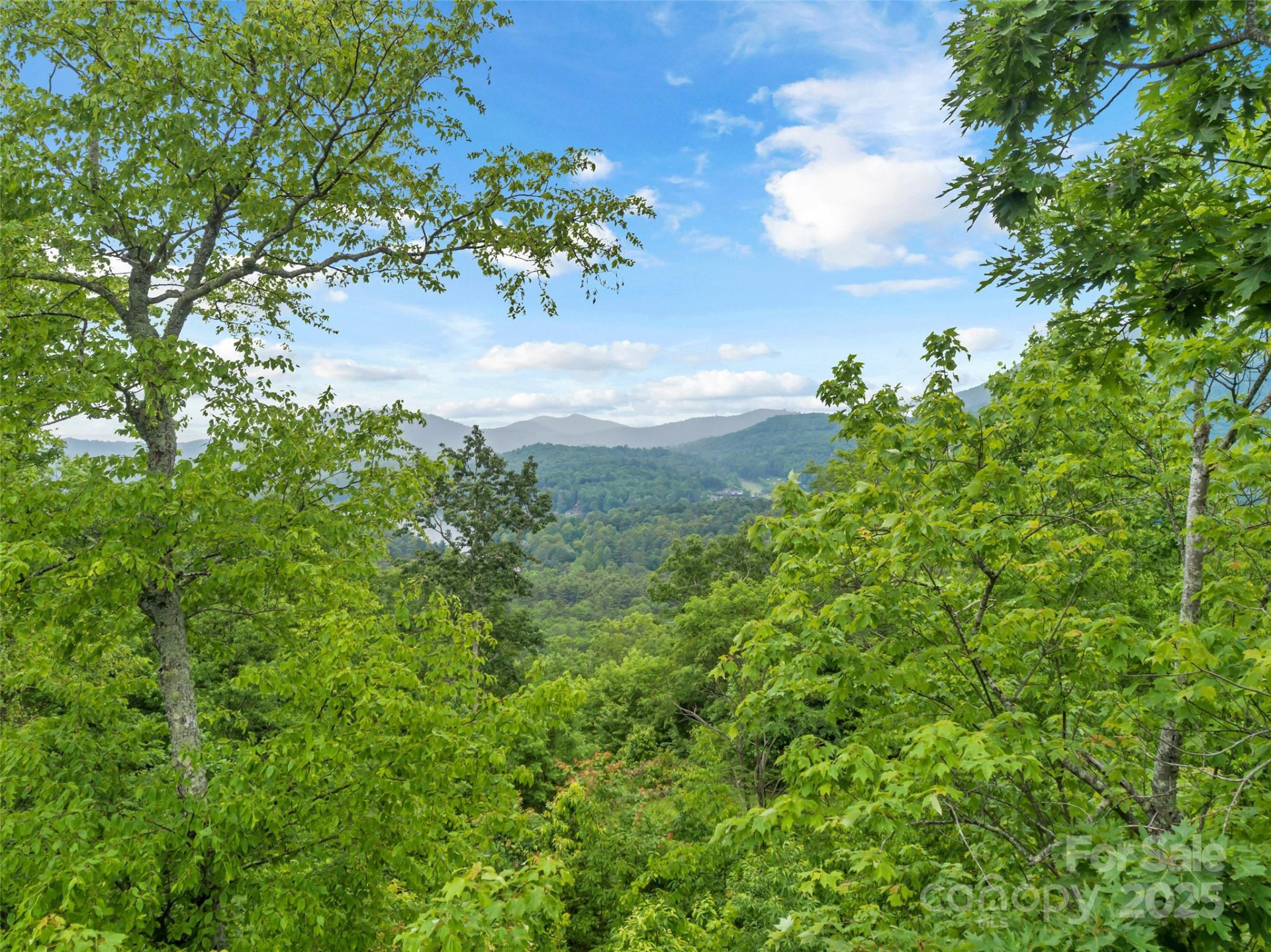 000 Squirrel Run Road - Photo 12