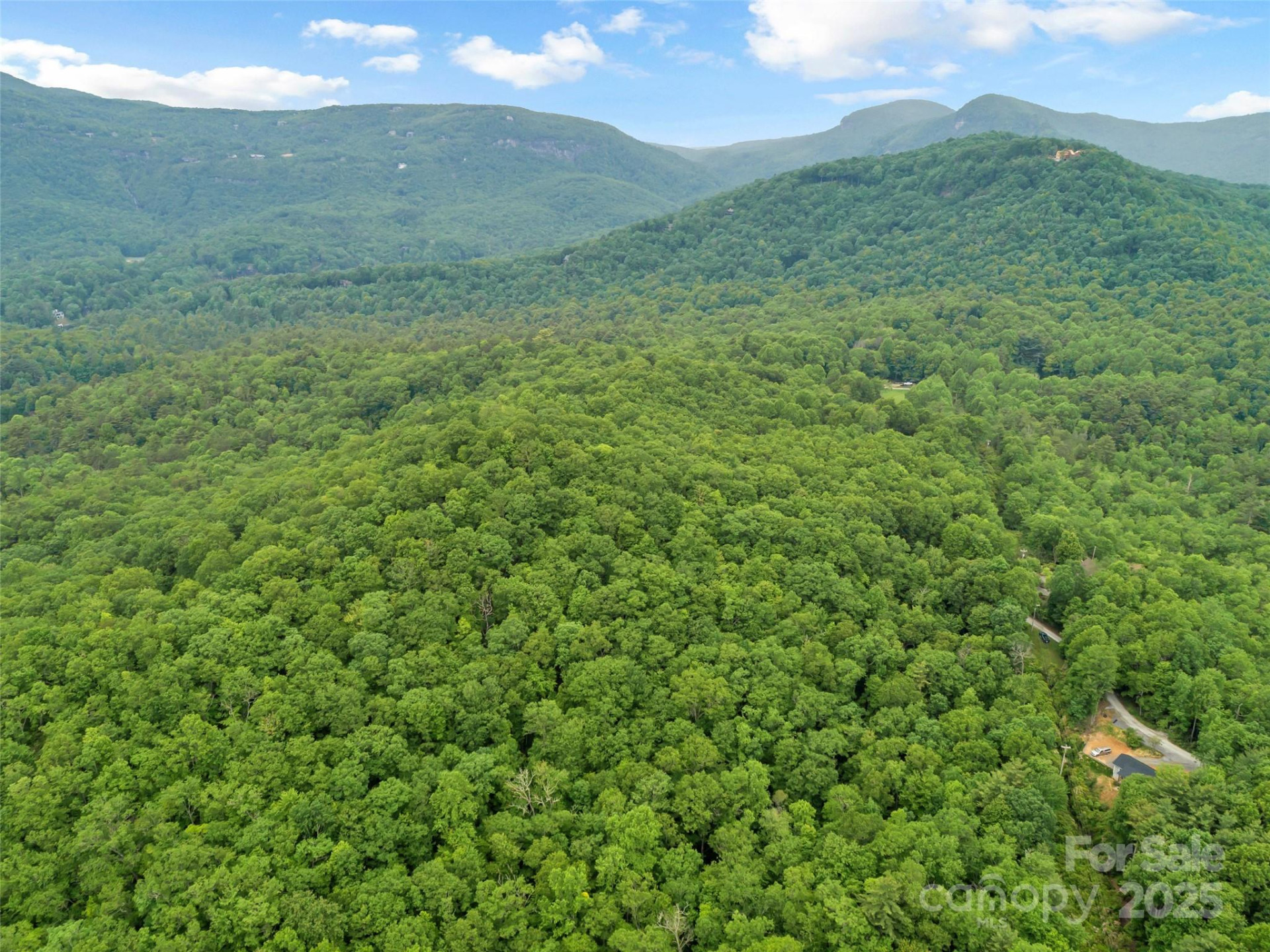 000 Squirrel Run Road - Photo 13