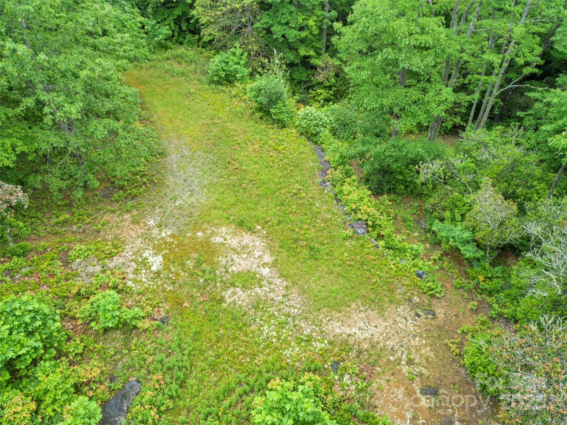 000 Squirrel Run Road - Photo 14