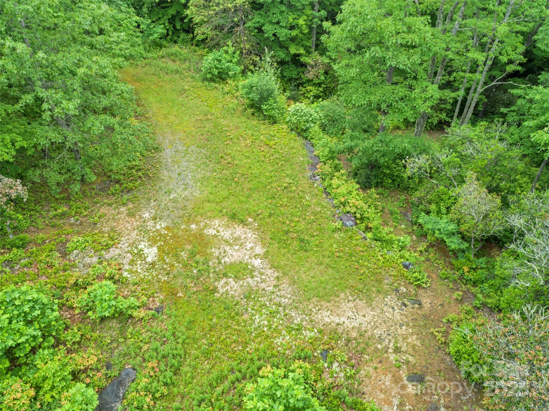 000 Squirrel Run Road - Photo 14