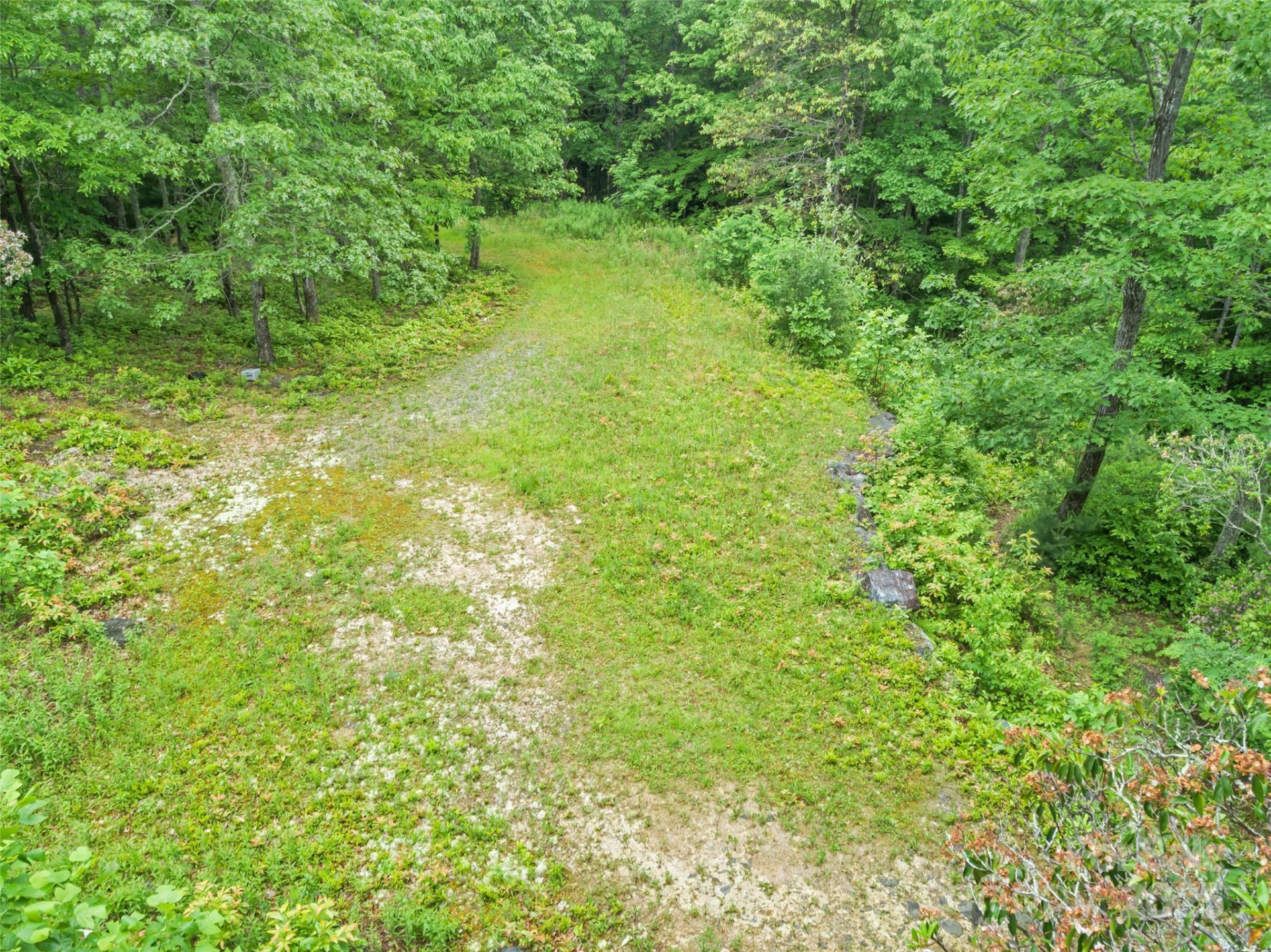 000 Squirrel Run Road - Photo 15