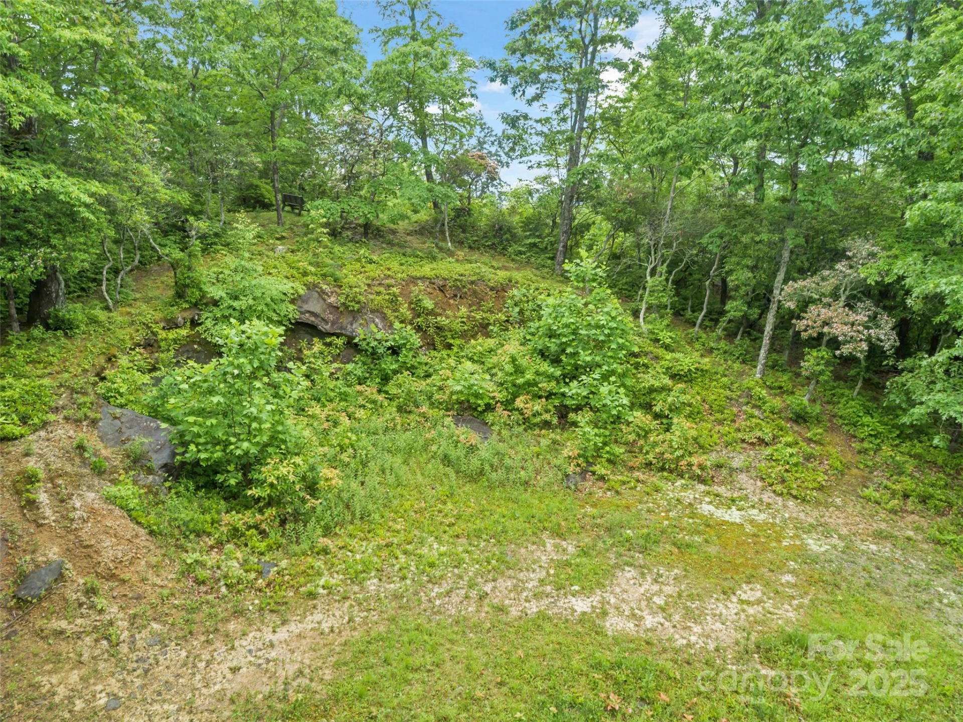 000 Squirrel Run Road - Photo 16