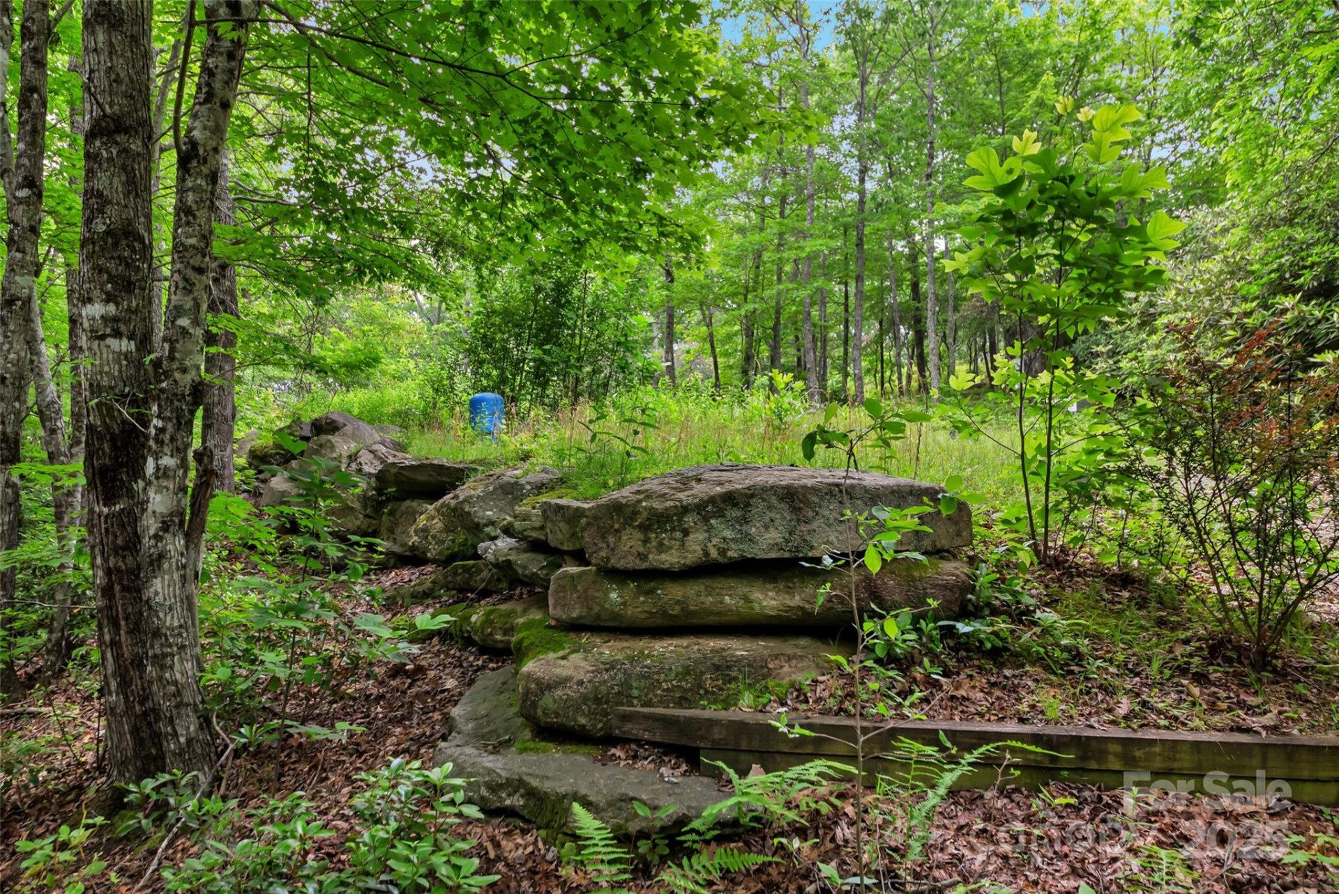 000 Squirrel Run Road - Photo 17