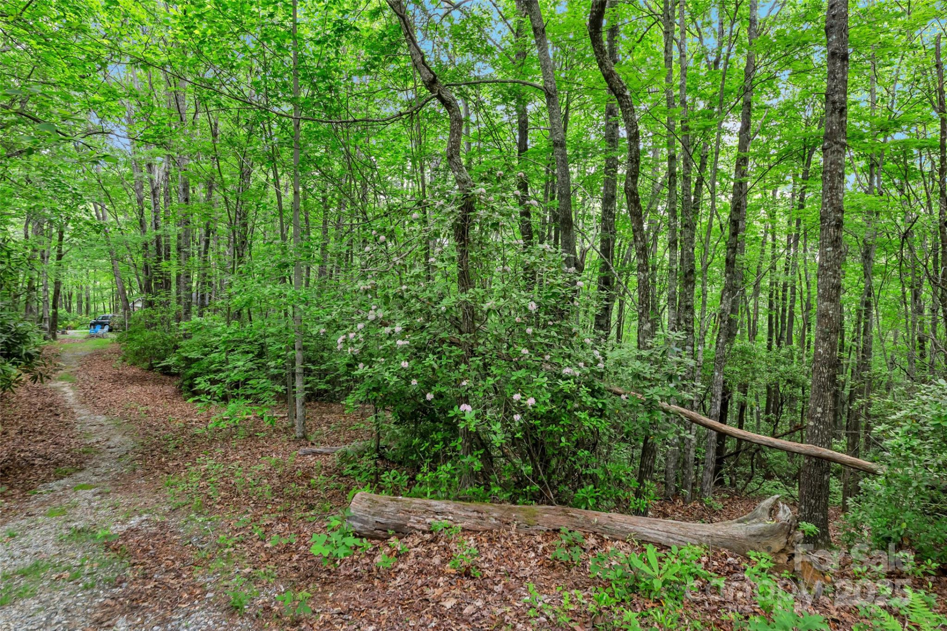 000 Squirrel Run Road - Photo 18