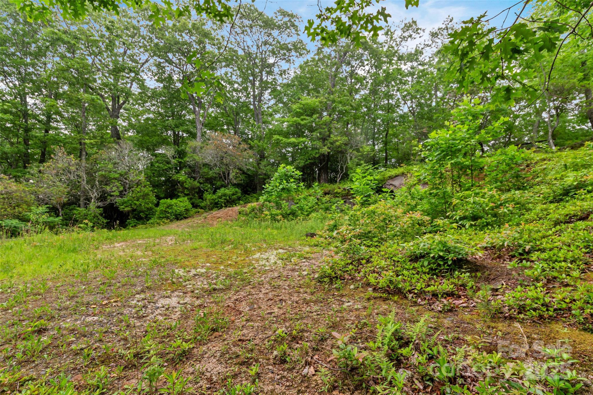 000 Squirrel Run Road - Photo 19