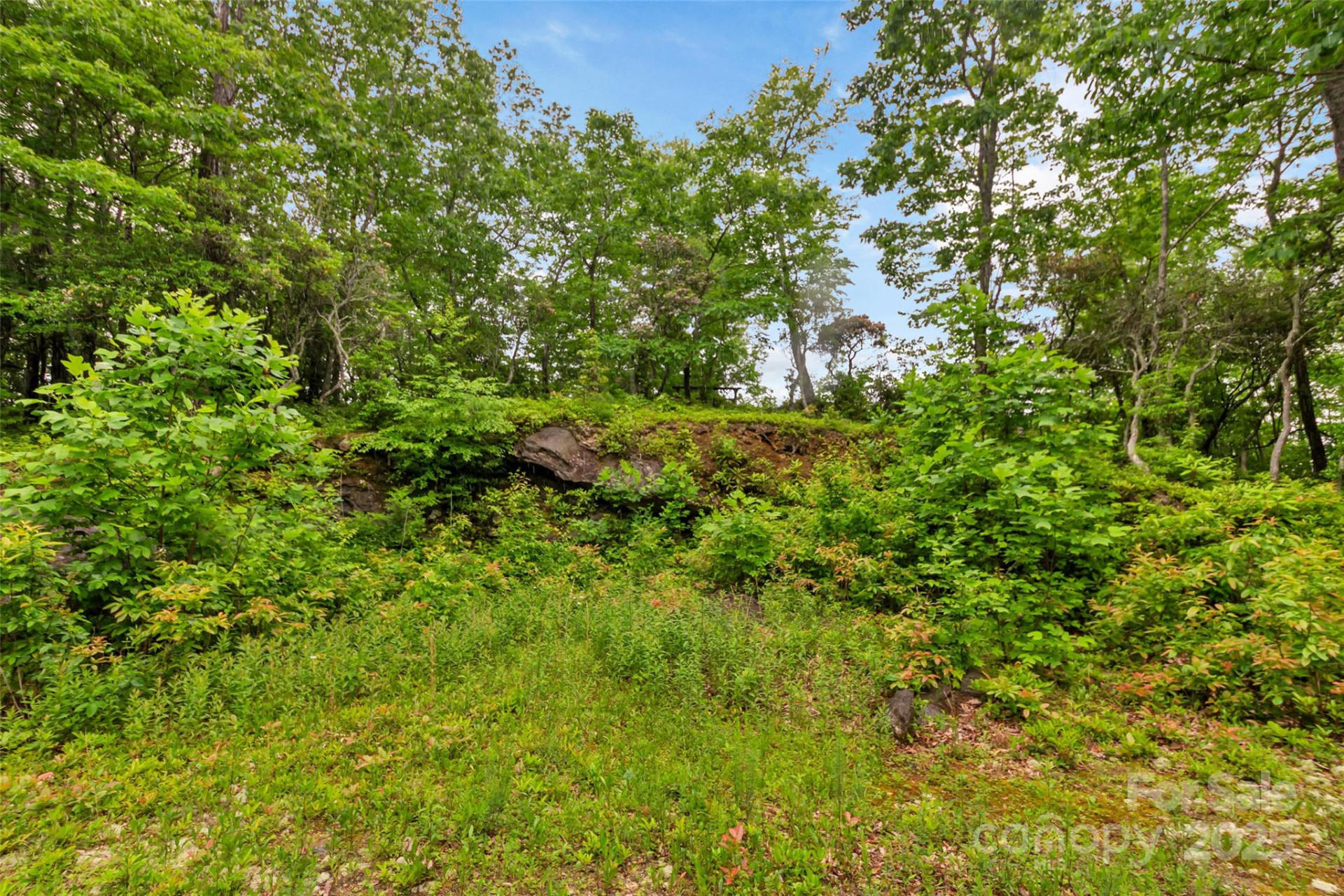 000 Squirrel Run Road - Photo 20