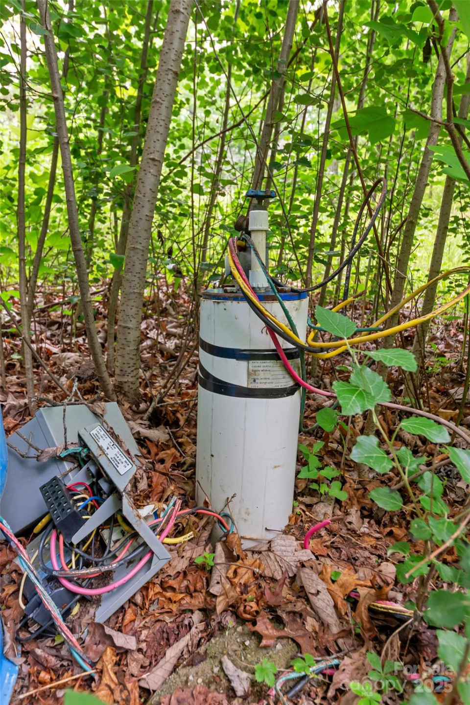 000 Squirrel Run Road - Photo 3