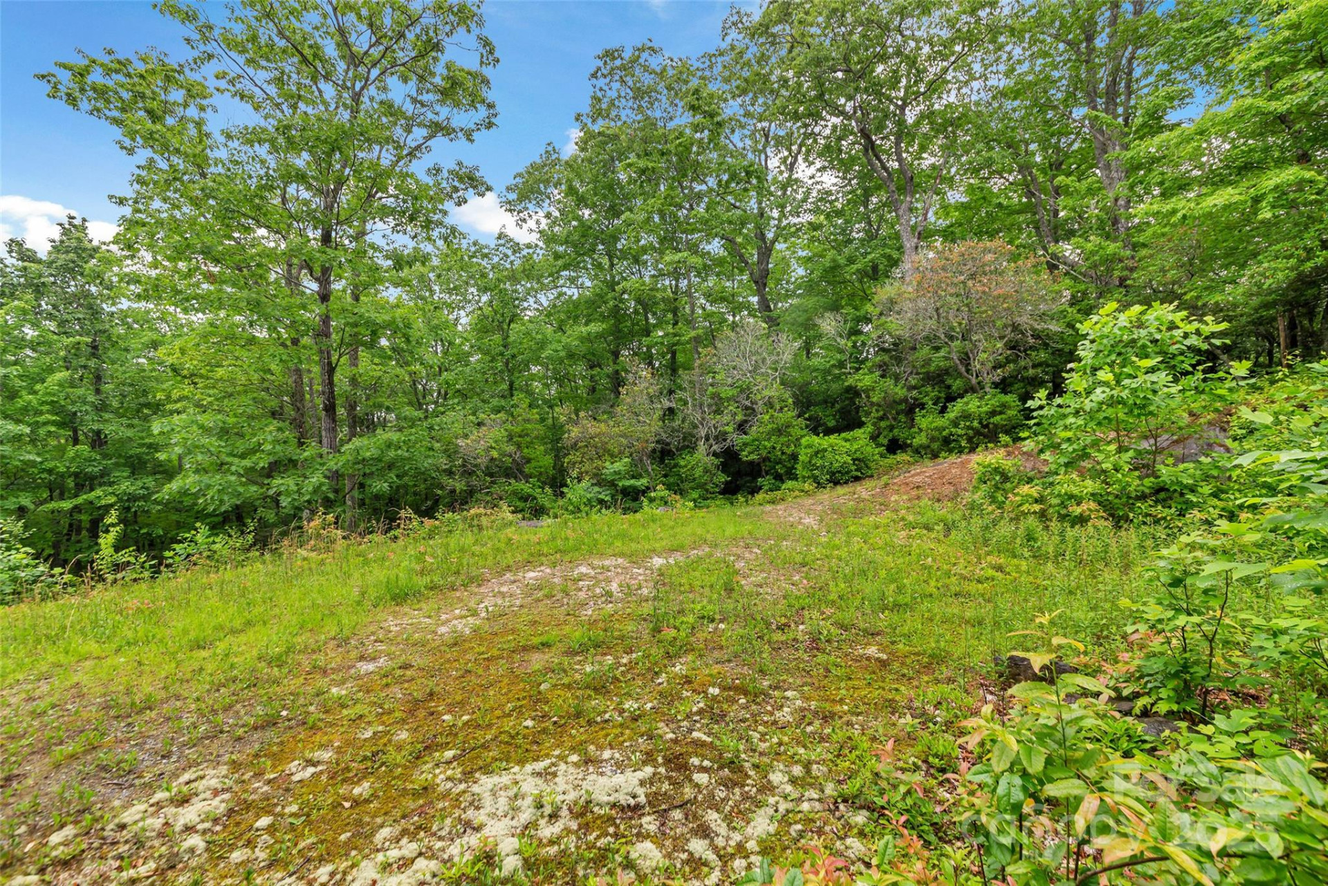 000 Squirrel Run Road - Photo 21