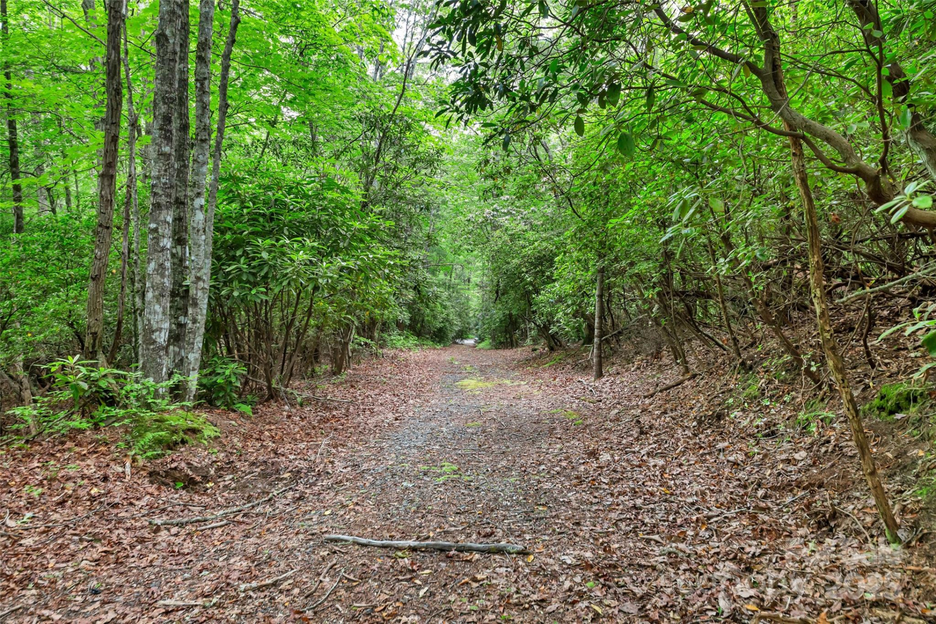 000 Squirrel Run Road - Photo 22