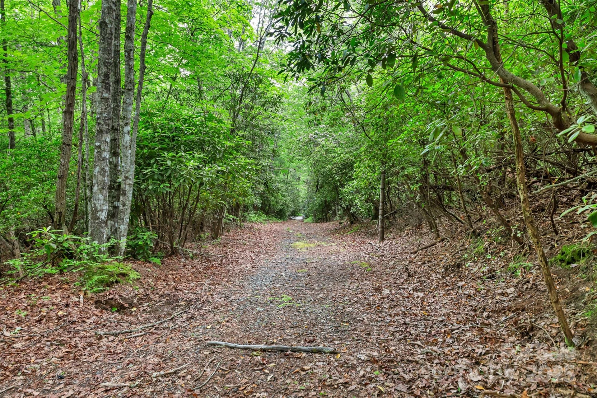 000 Squirrel Run Road - Photo 22