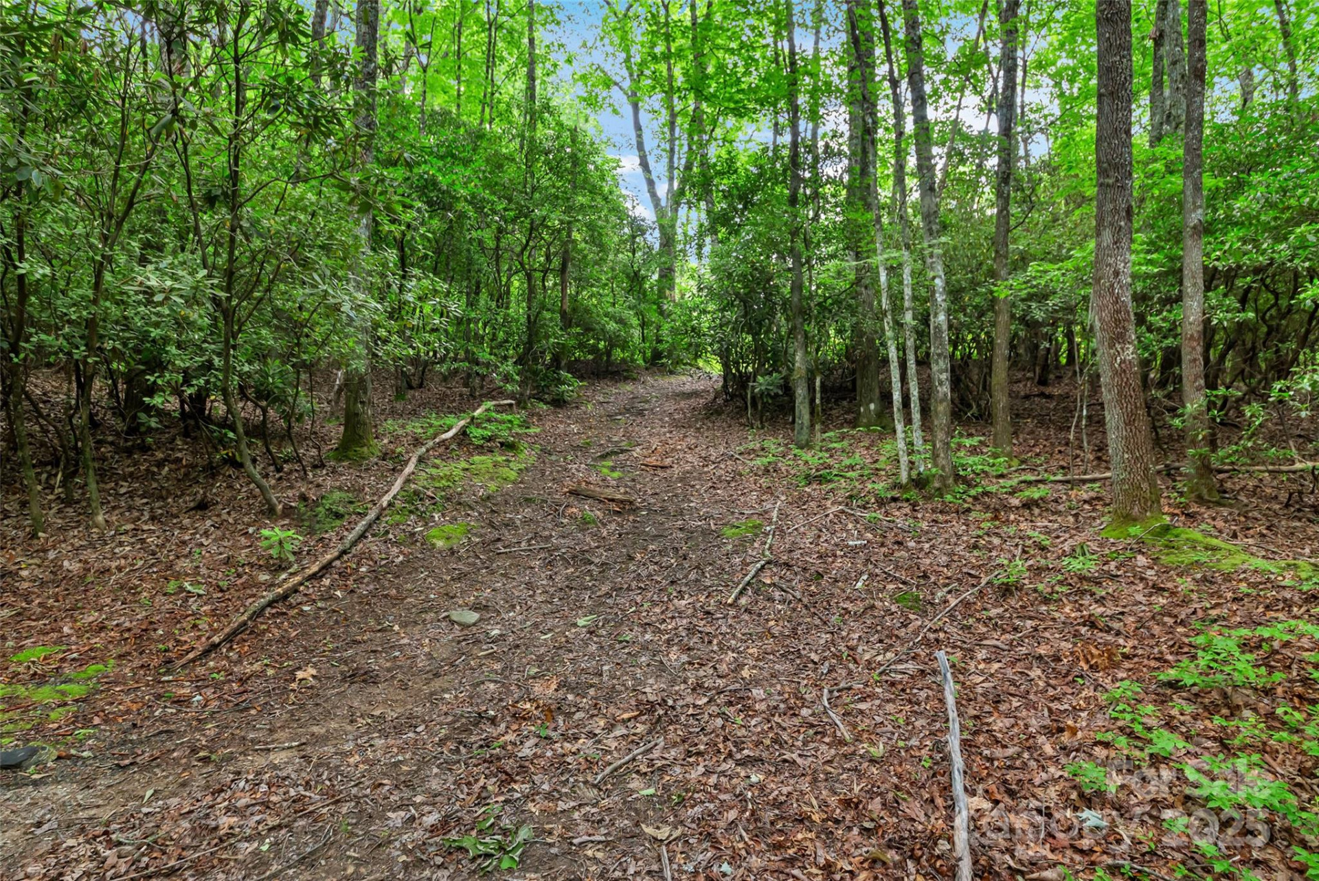000 Squirrel Run Road - Photo 23