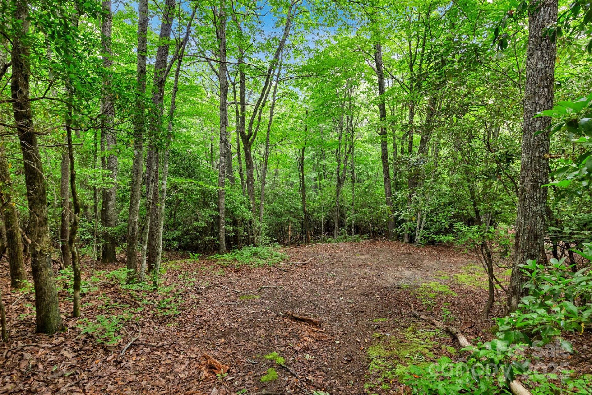 000 Squirrel Run Road - Photo 24