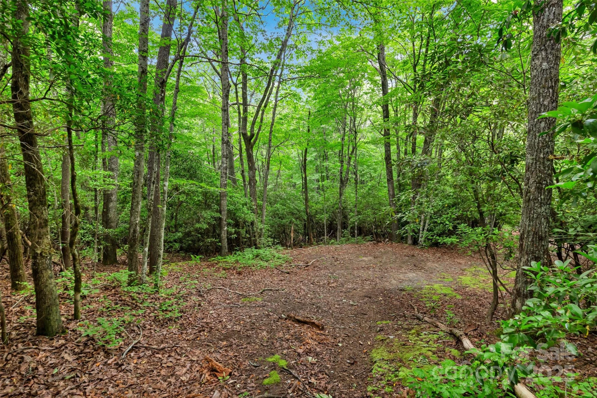 000 Squirrel Run Road - Photo 24